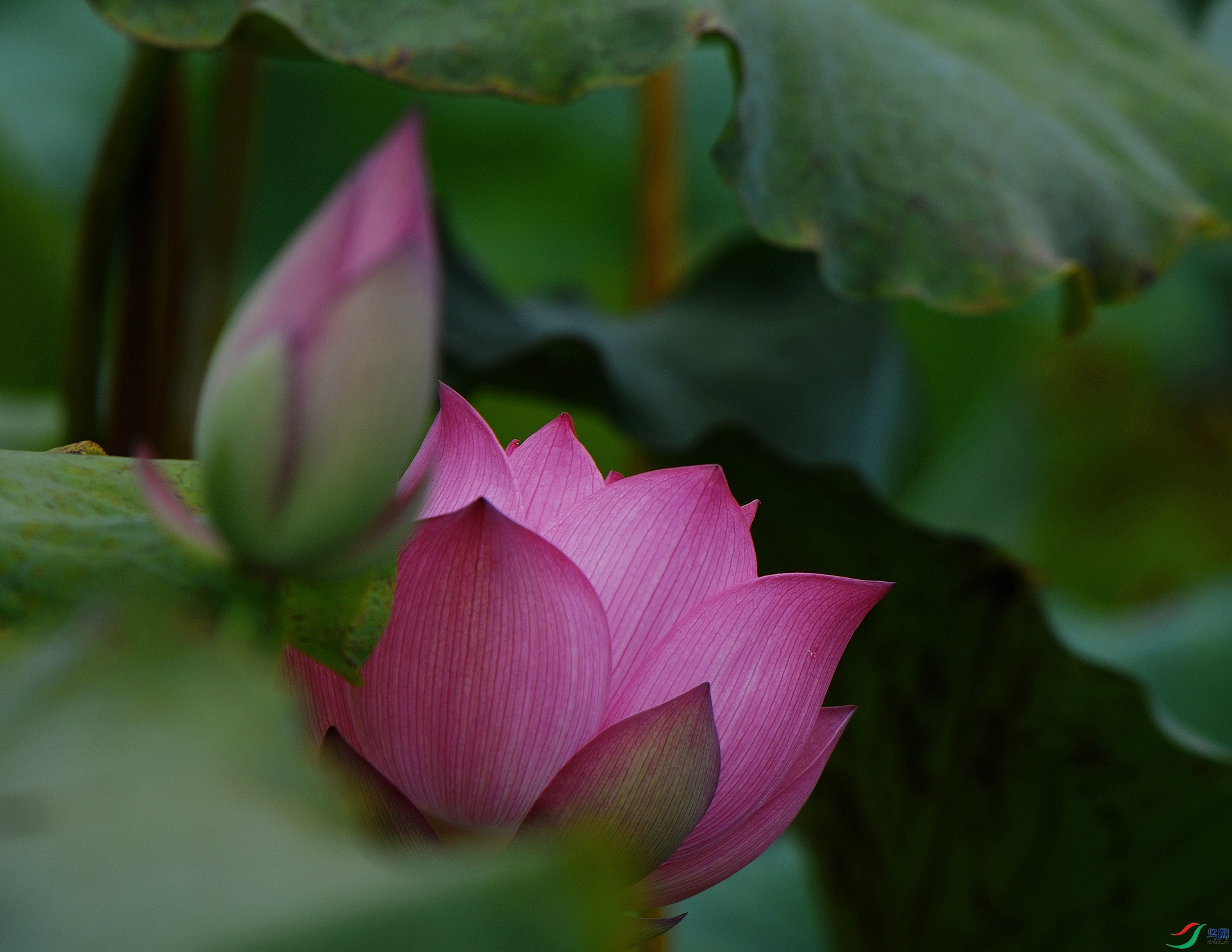DSC_9378.jpg