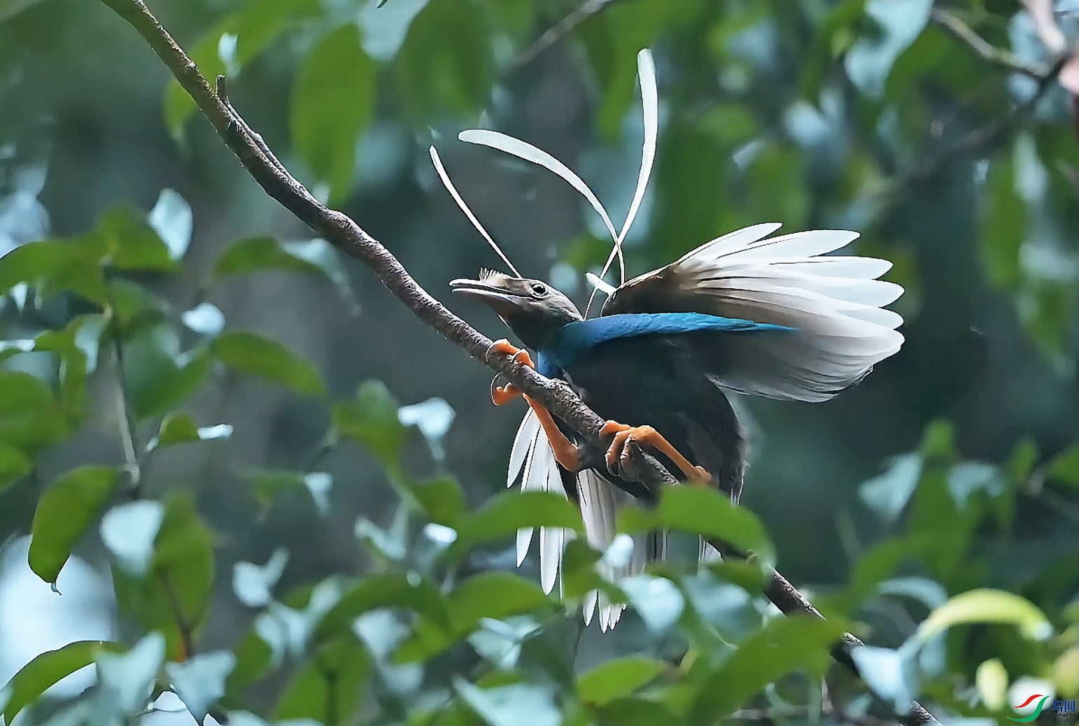 {5D7DB6EE-0AF3-4A3A-946D-99E3451C37D5} ����.jpg