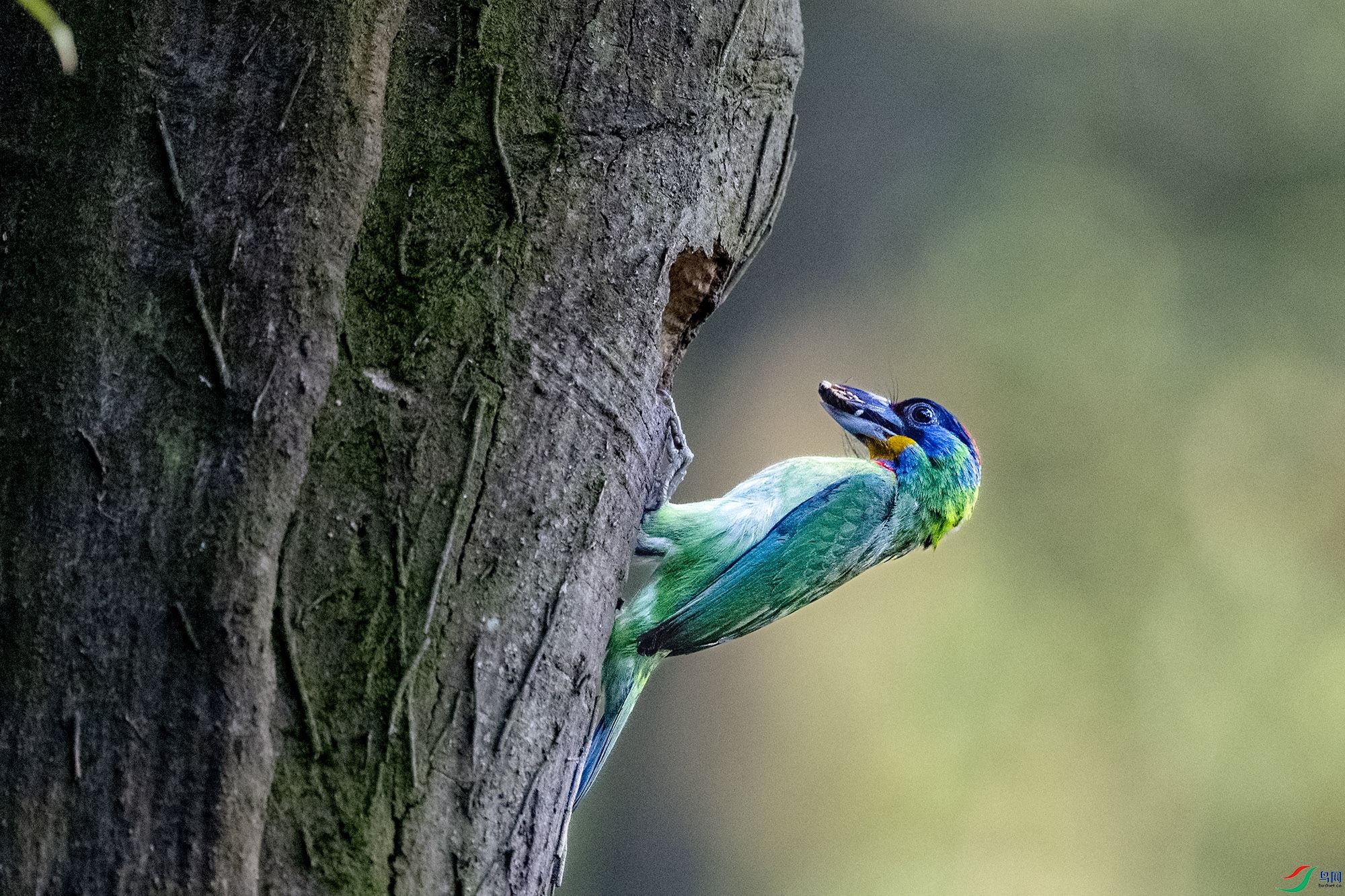 DSC_3519.jpg