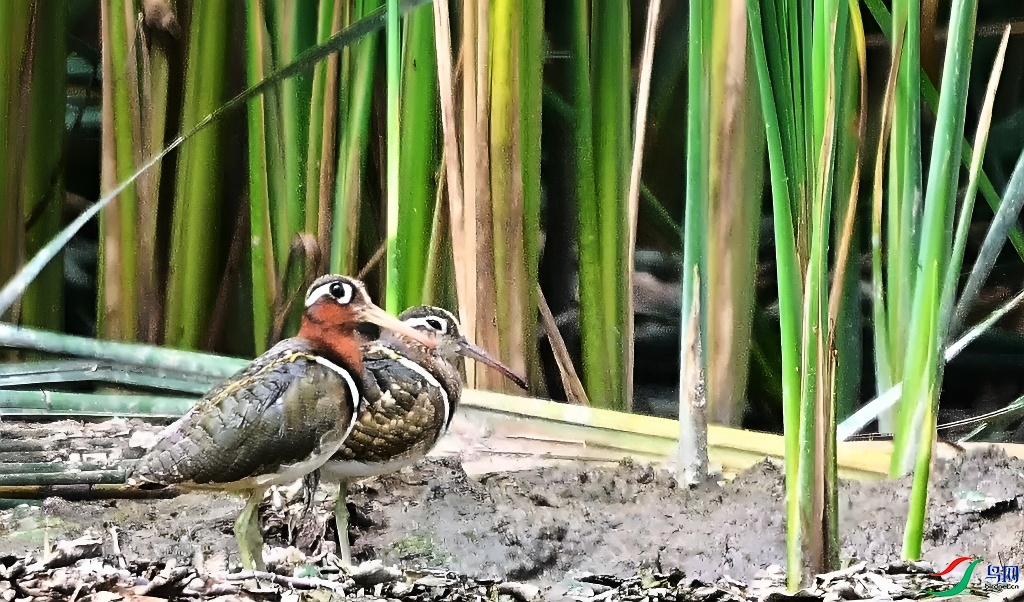 DSC_4065.JPG