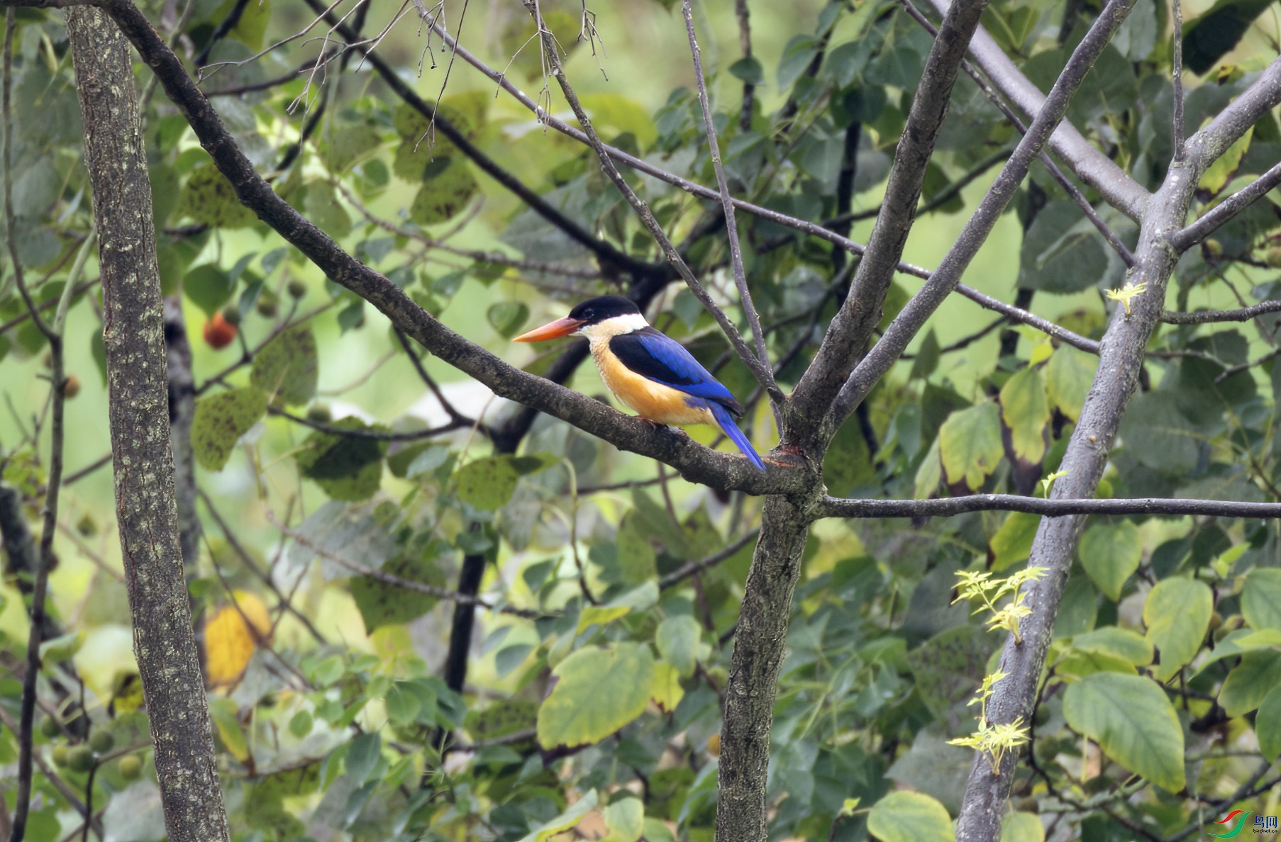 G47A5877-����ǿ-NR ����.jpg