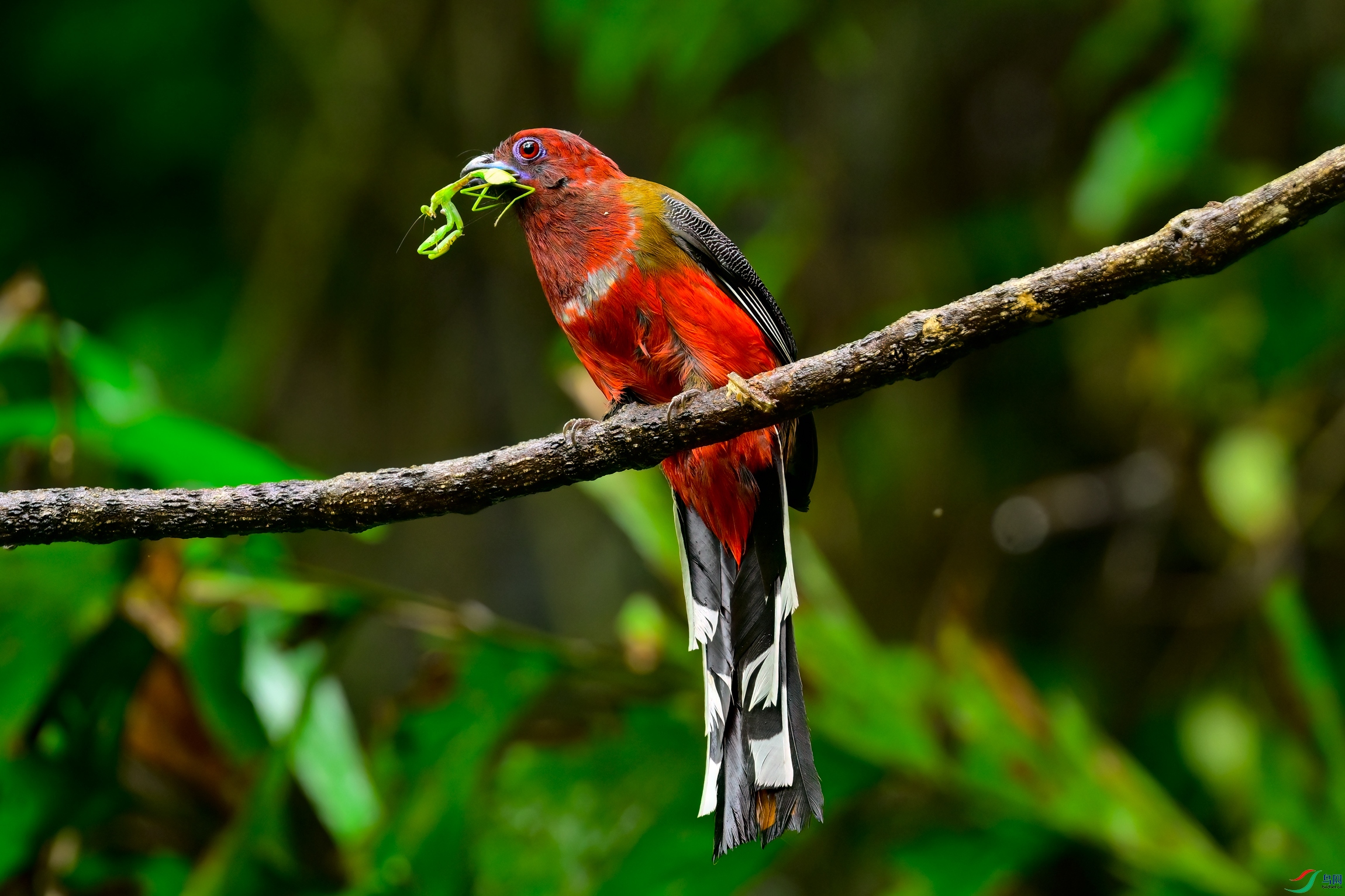 _DSC8066x.jpg