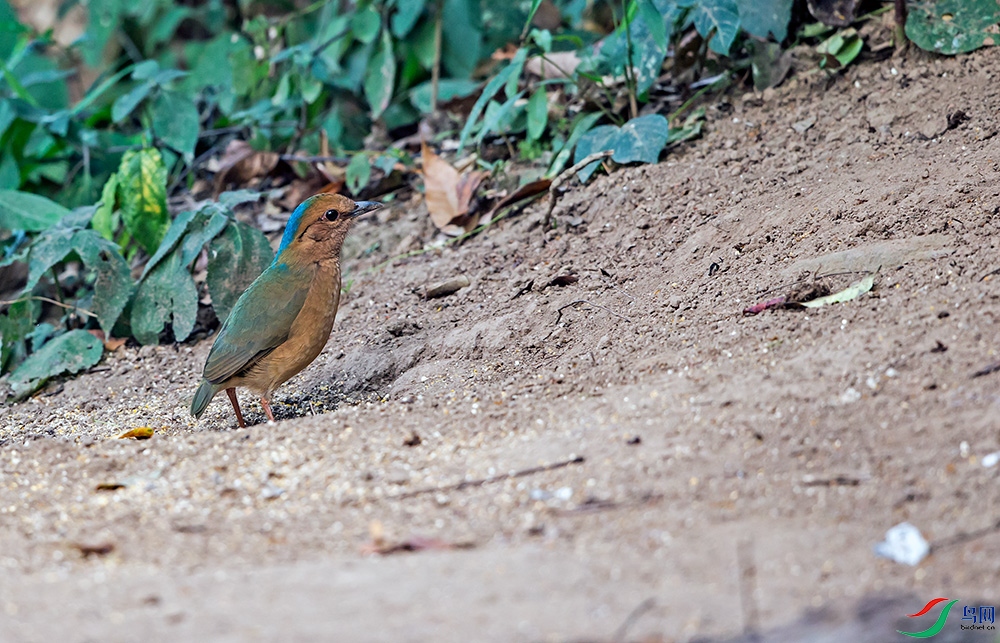 _GD_5788.jpg