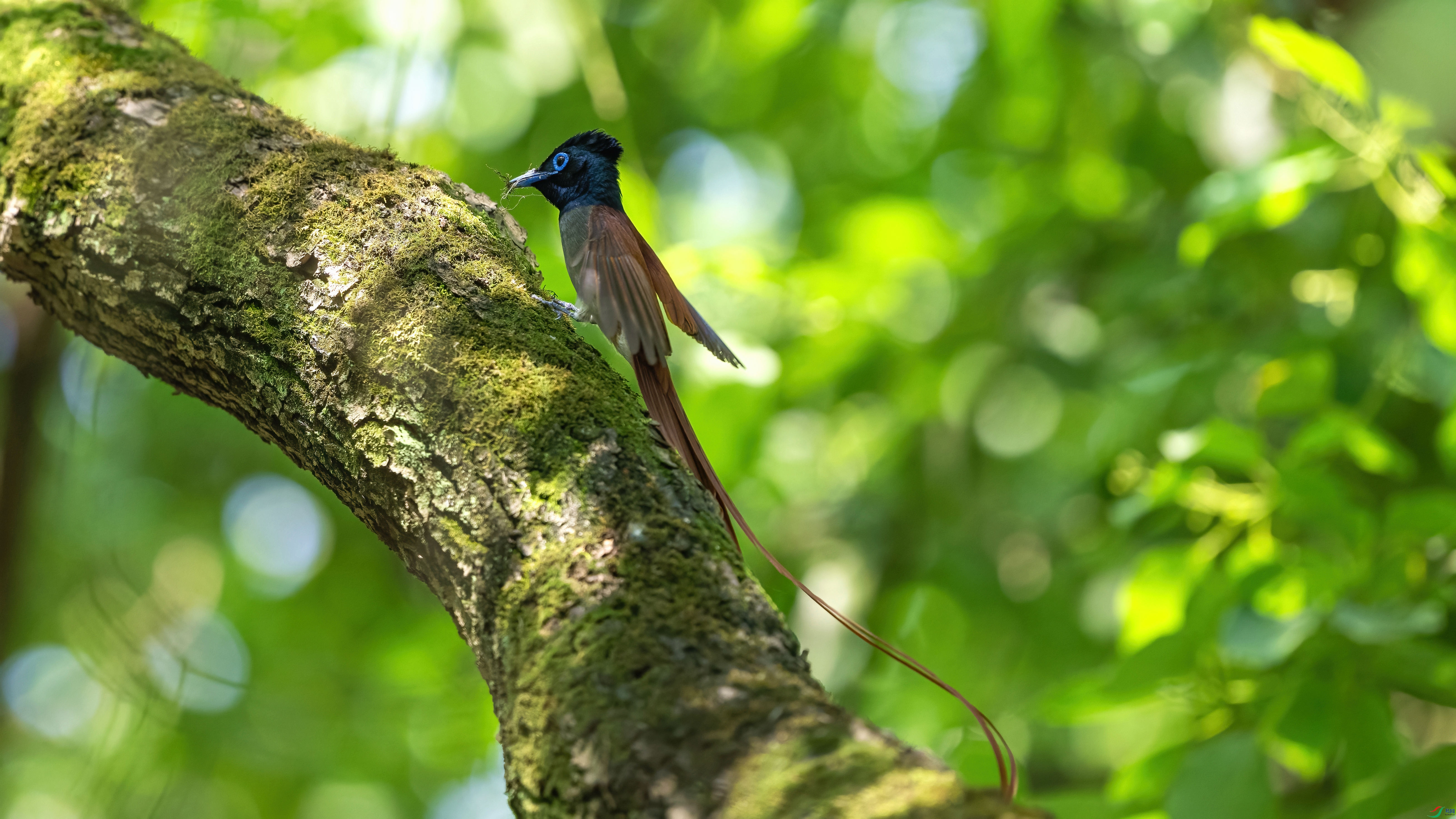 DSC_4035.jpg