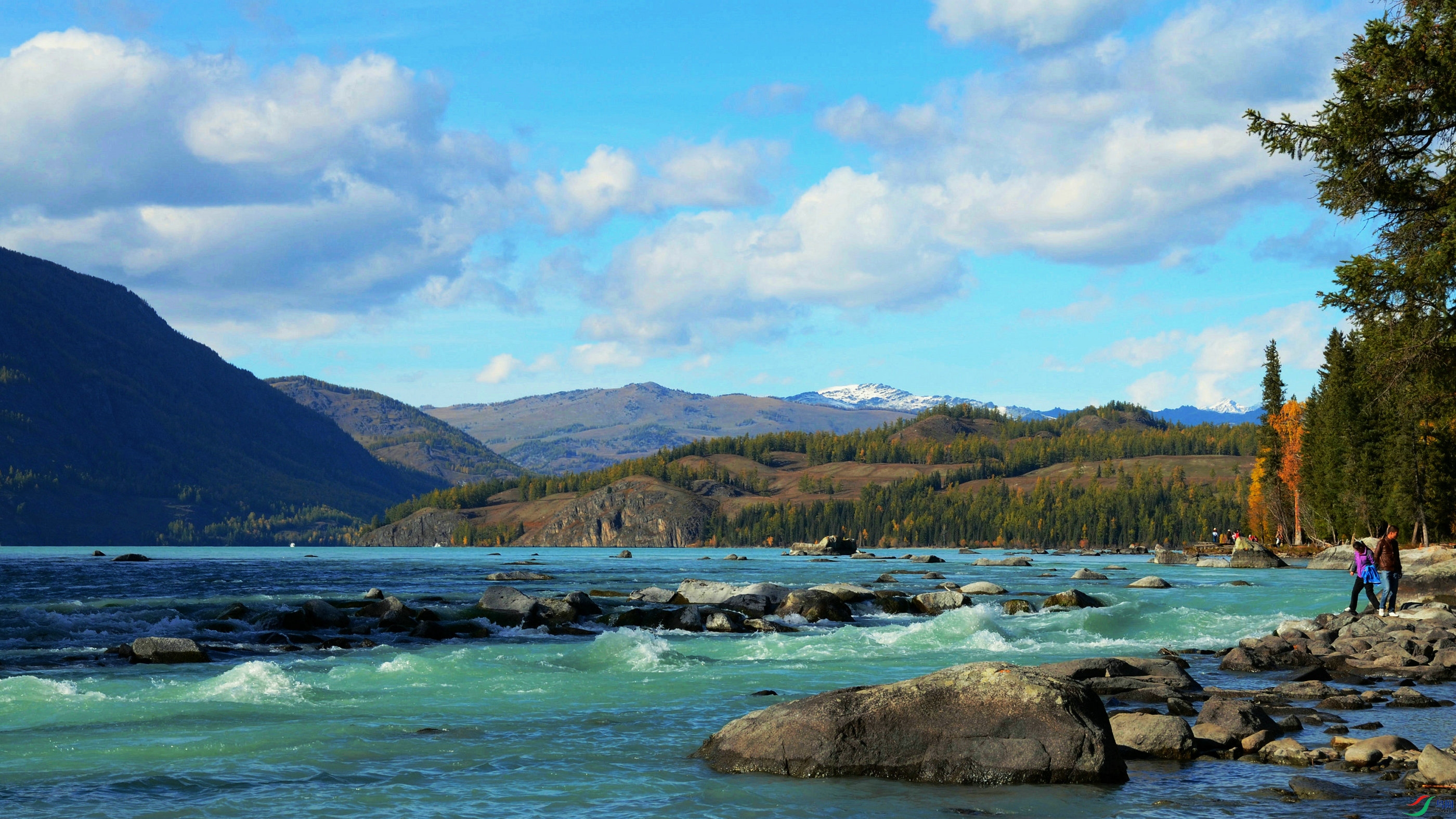 DSC_1373.JPG
