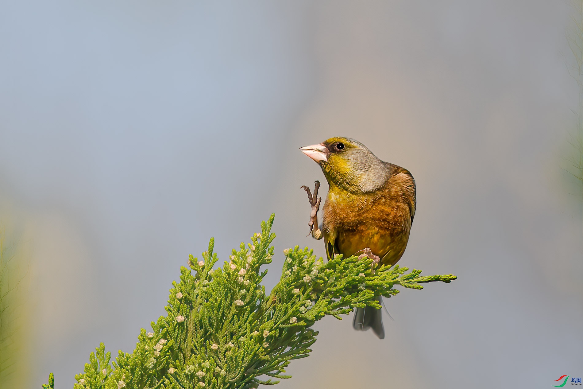 AQ4P9131-1.jpg
