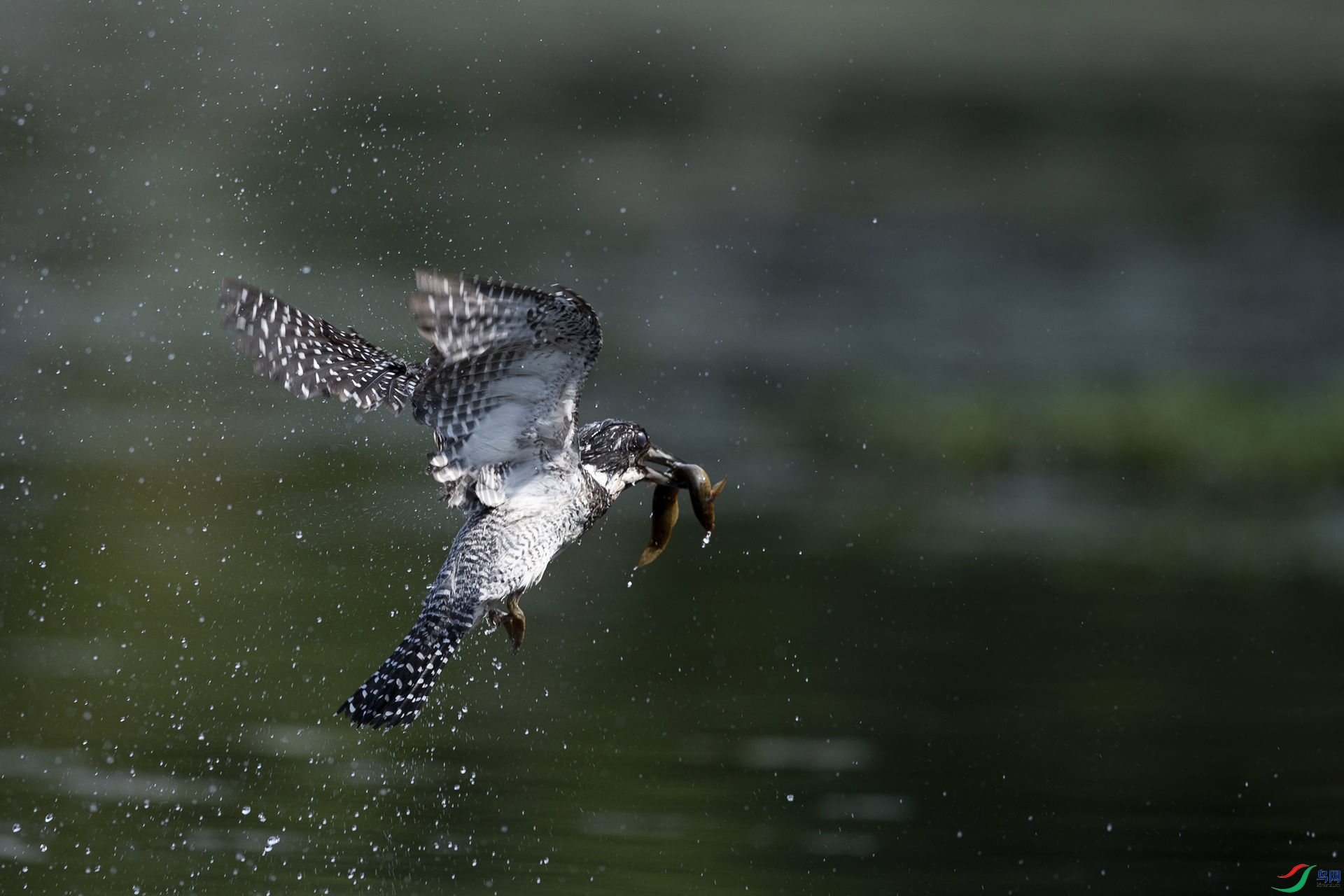 �ջ�����