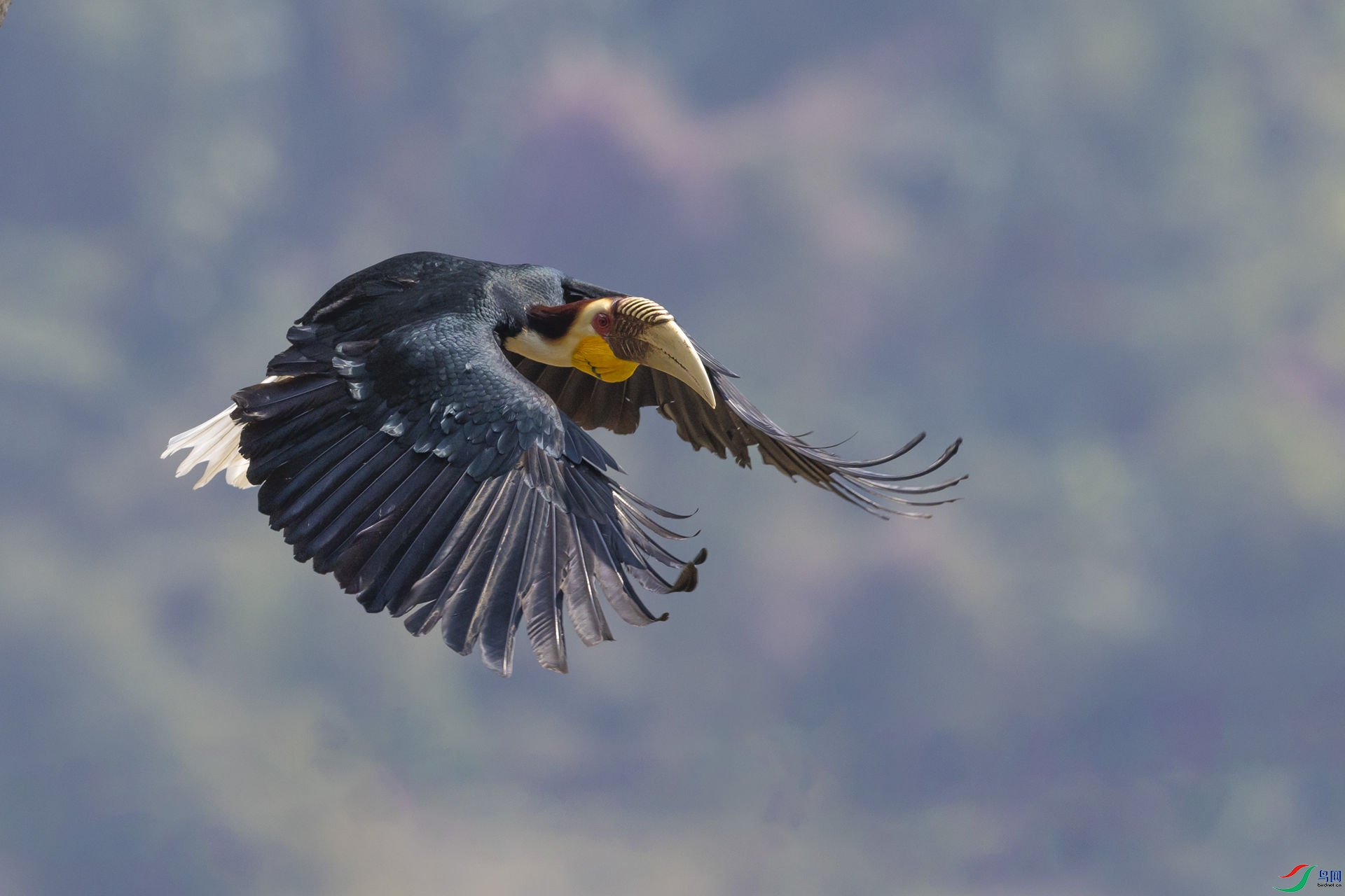 �����޿�Ϭ��