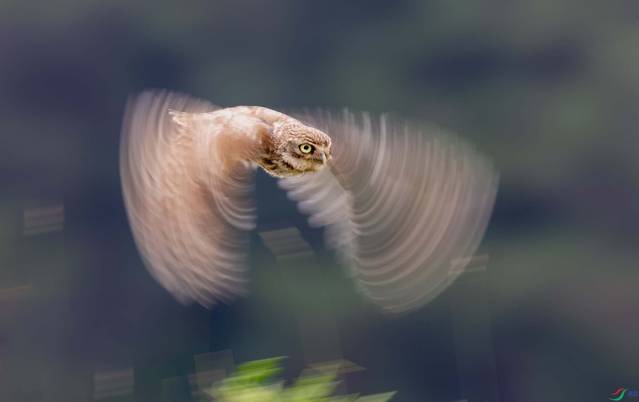 ���Ƹ�С�^