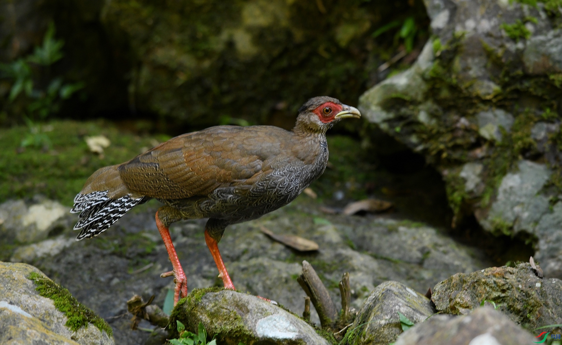 DSC_0658.jpg