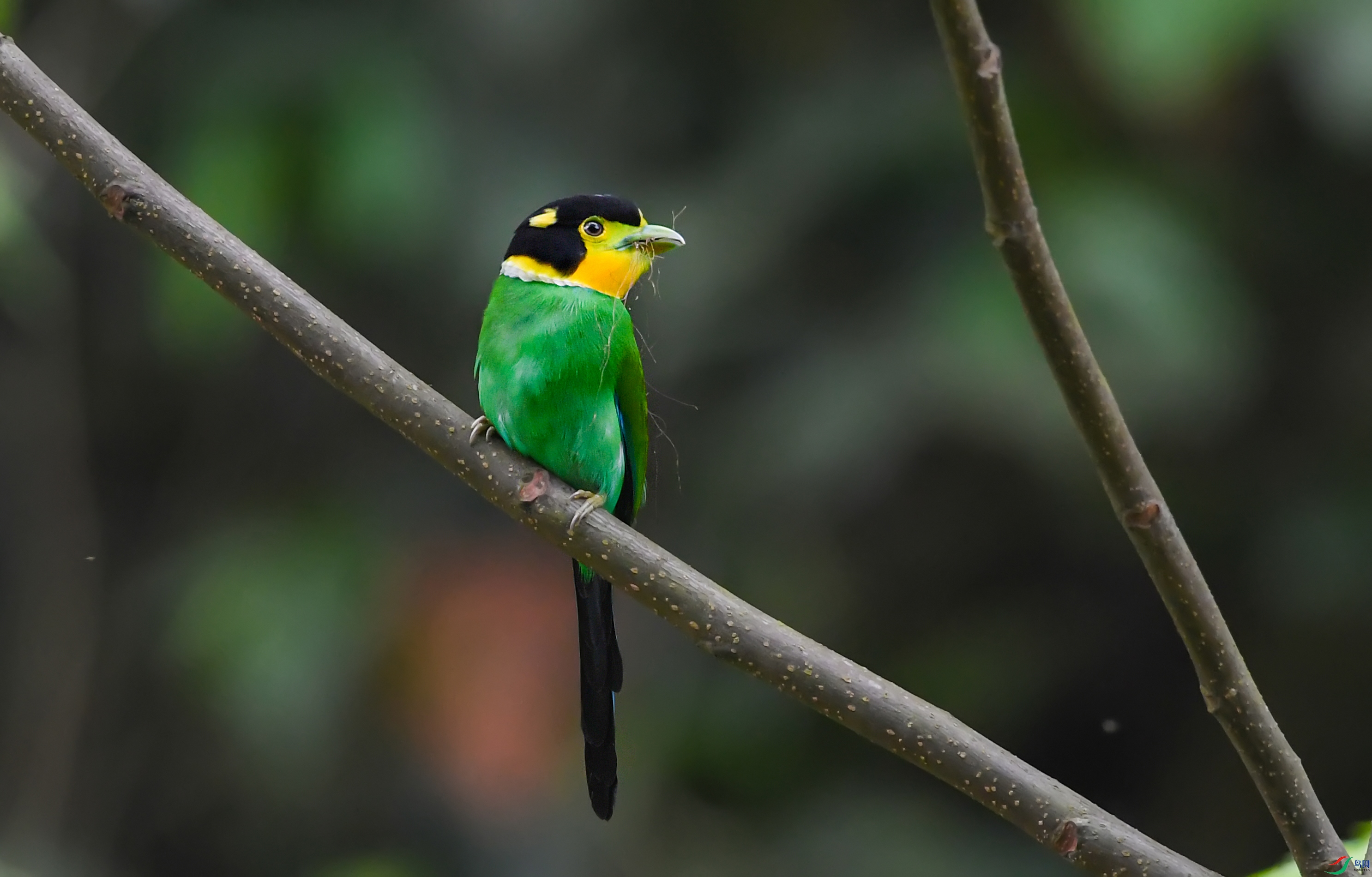 DSC_1400.jpg