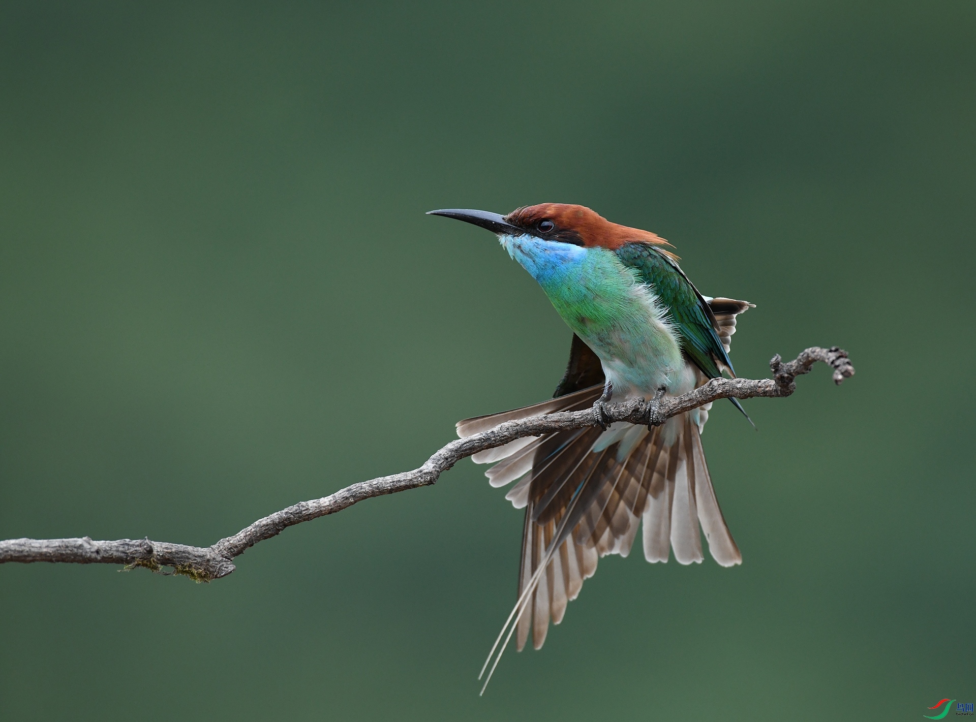 DSC_1440.jpg