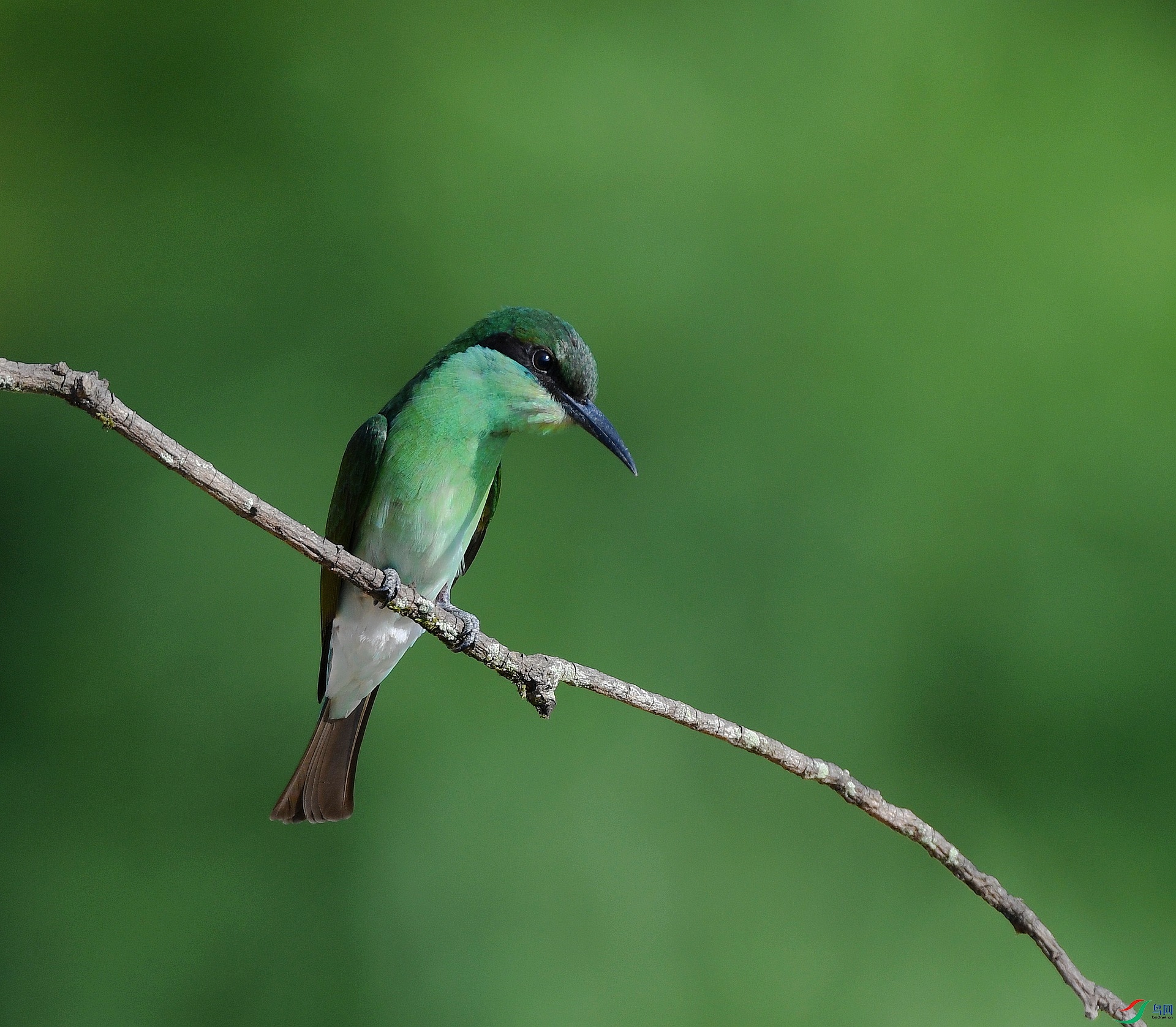 DSC_1309.jpg