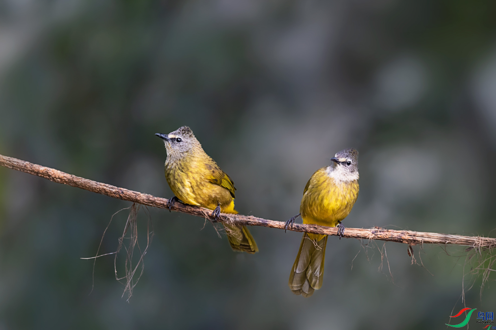 �������ѡ������ǣ��ٻ��Ա�������������� 24.png