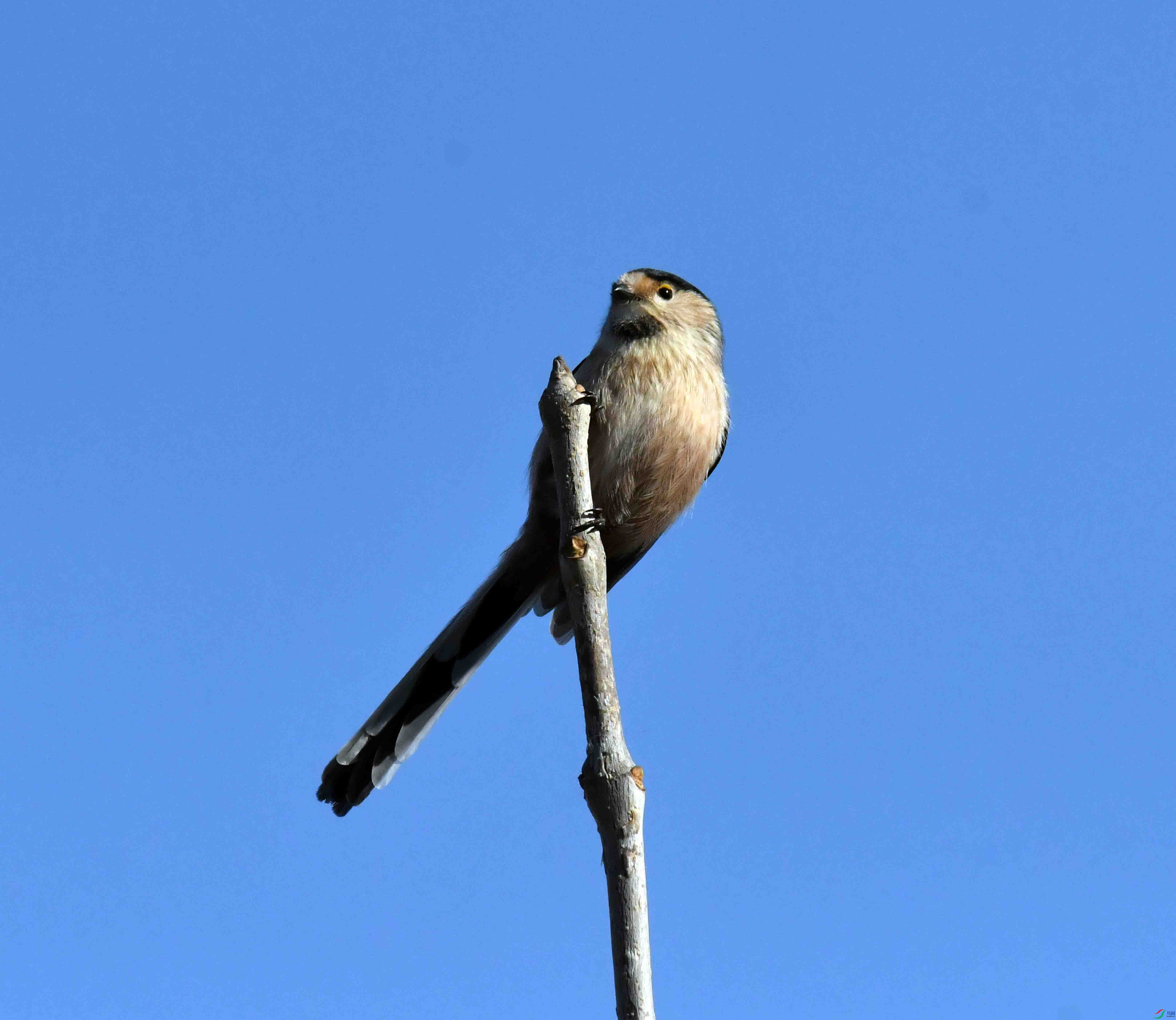 DSC_0978.JPG