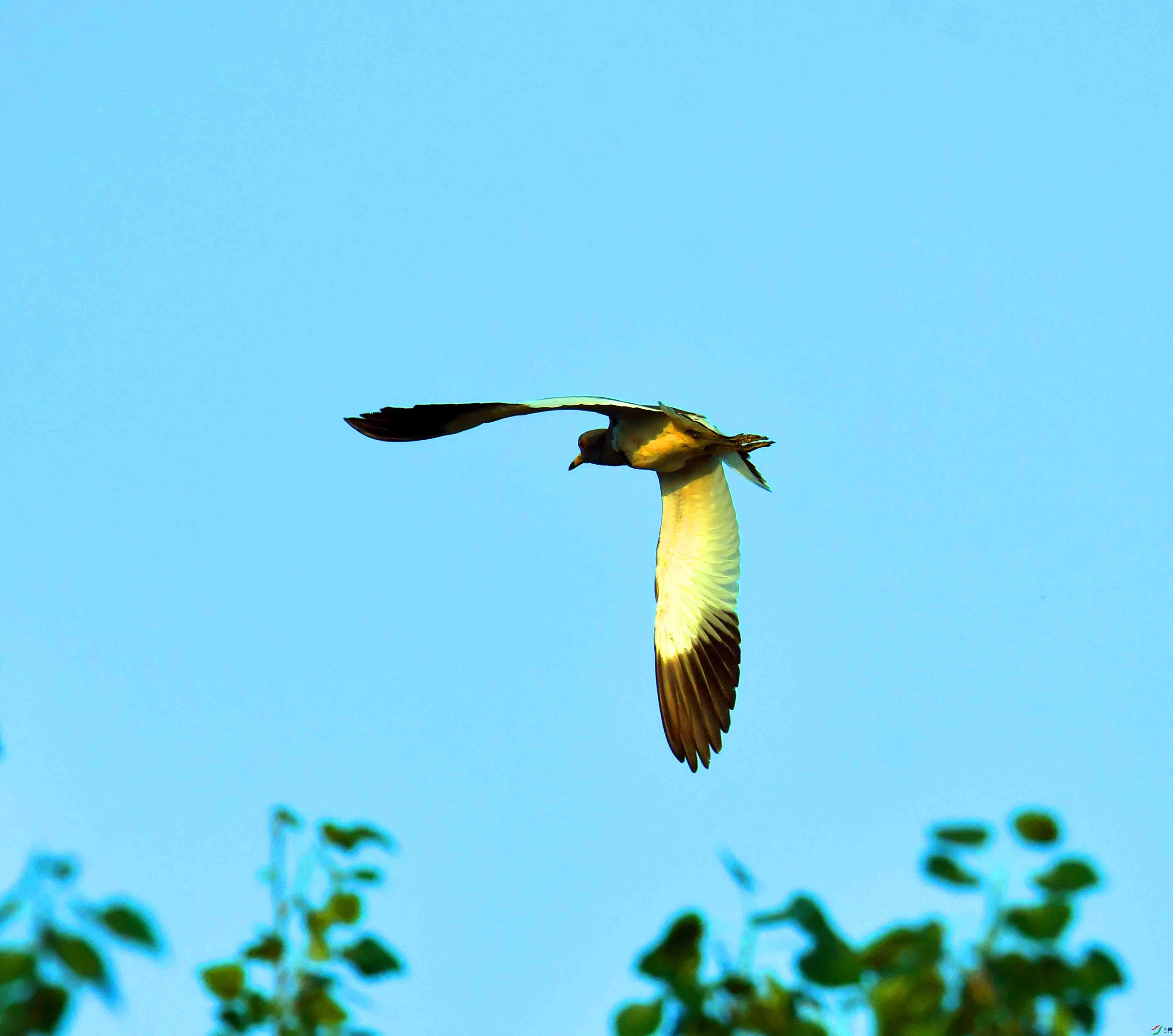 DSC_0679.JPG