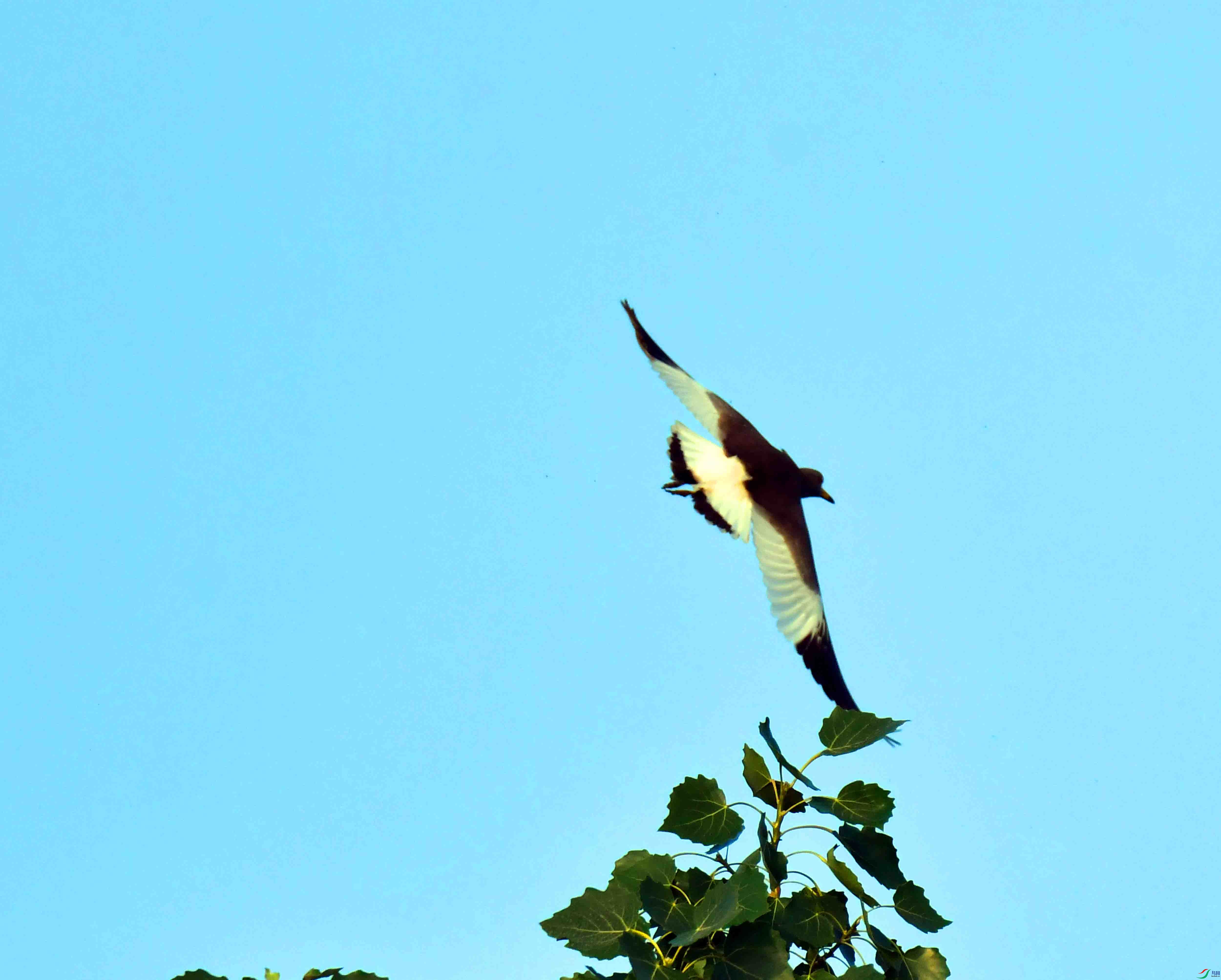 DSC_0680.JPG