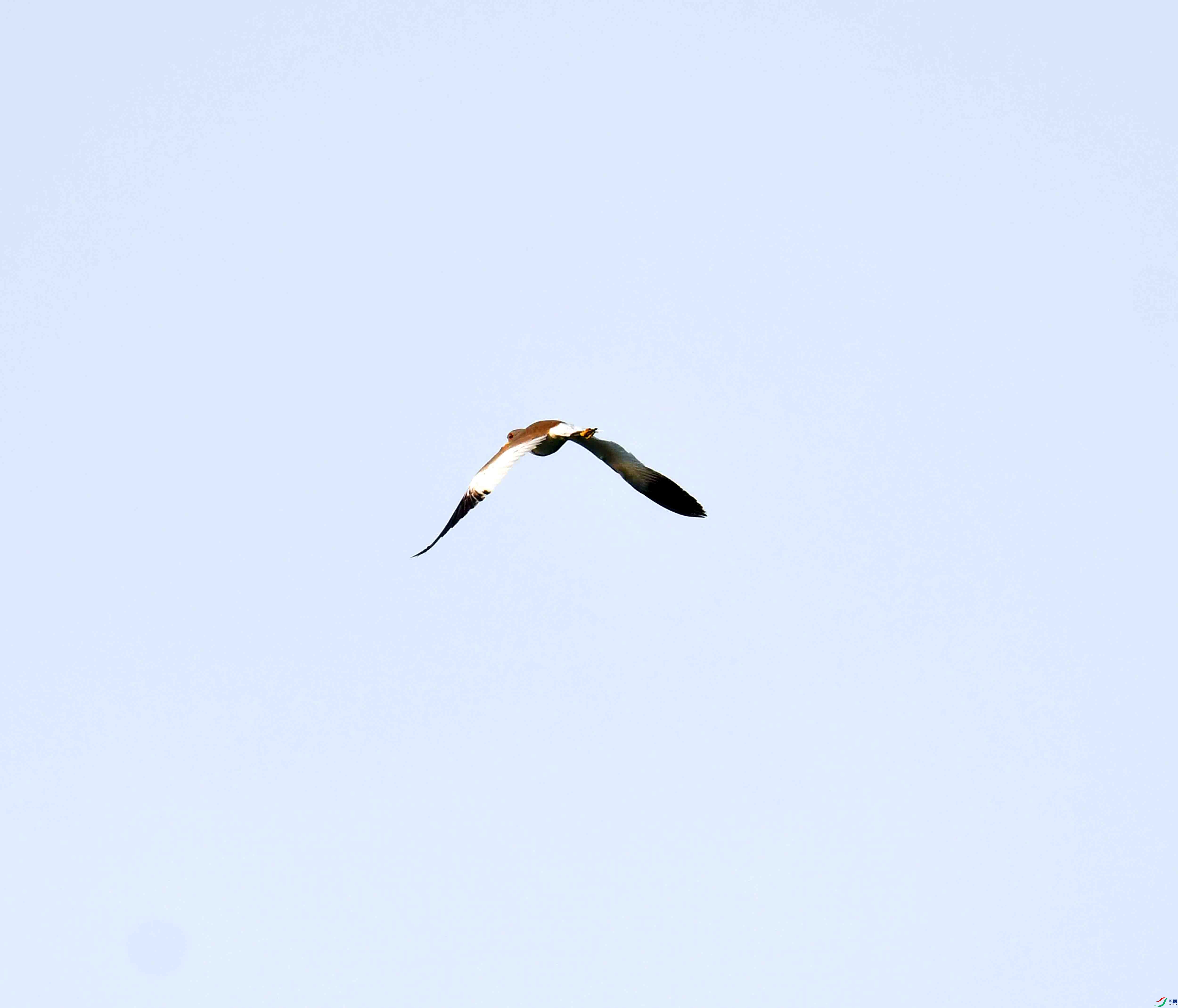 DSC_1361.JPG