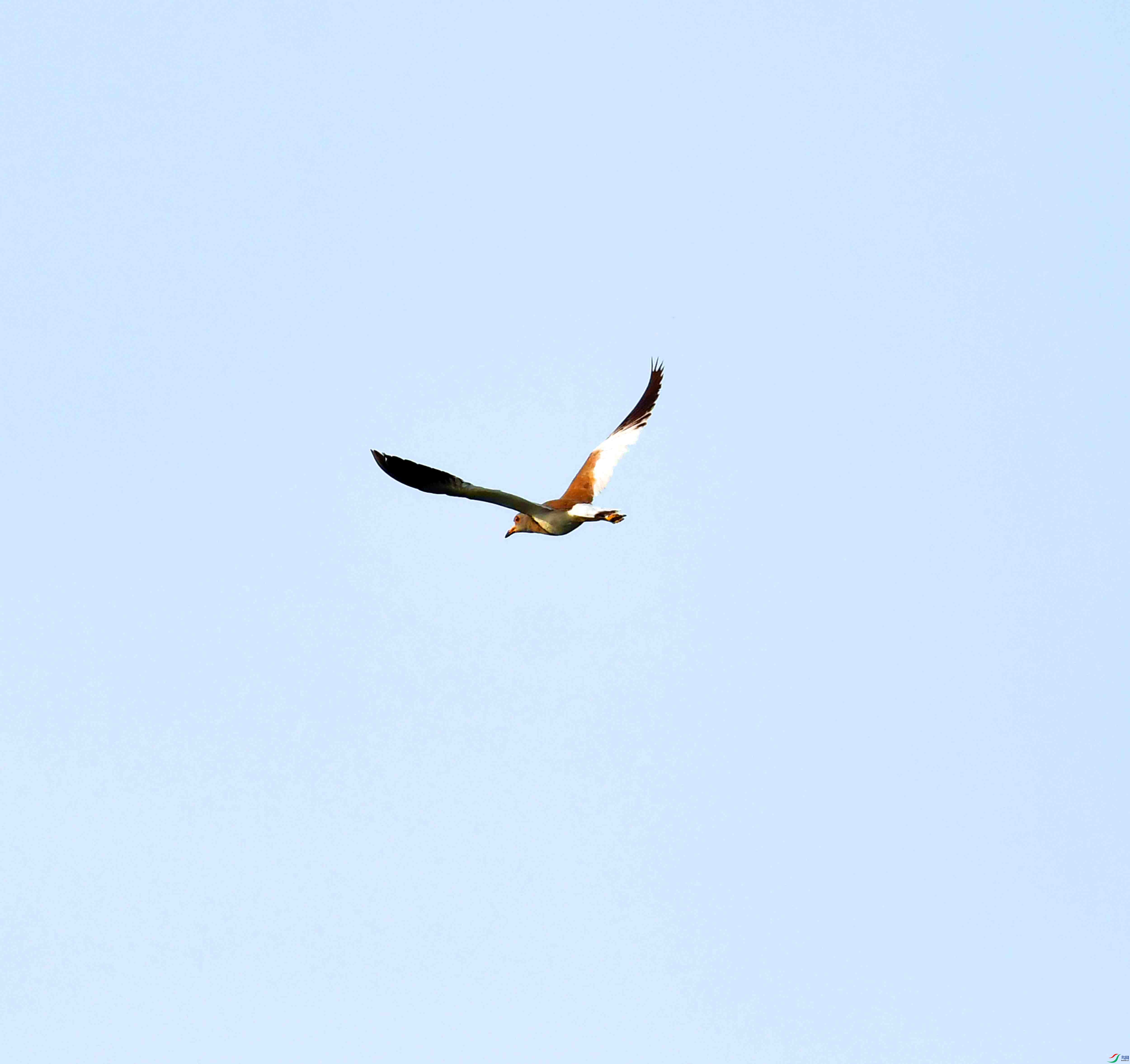 DSC_1363.JPG