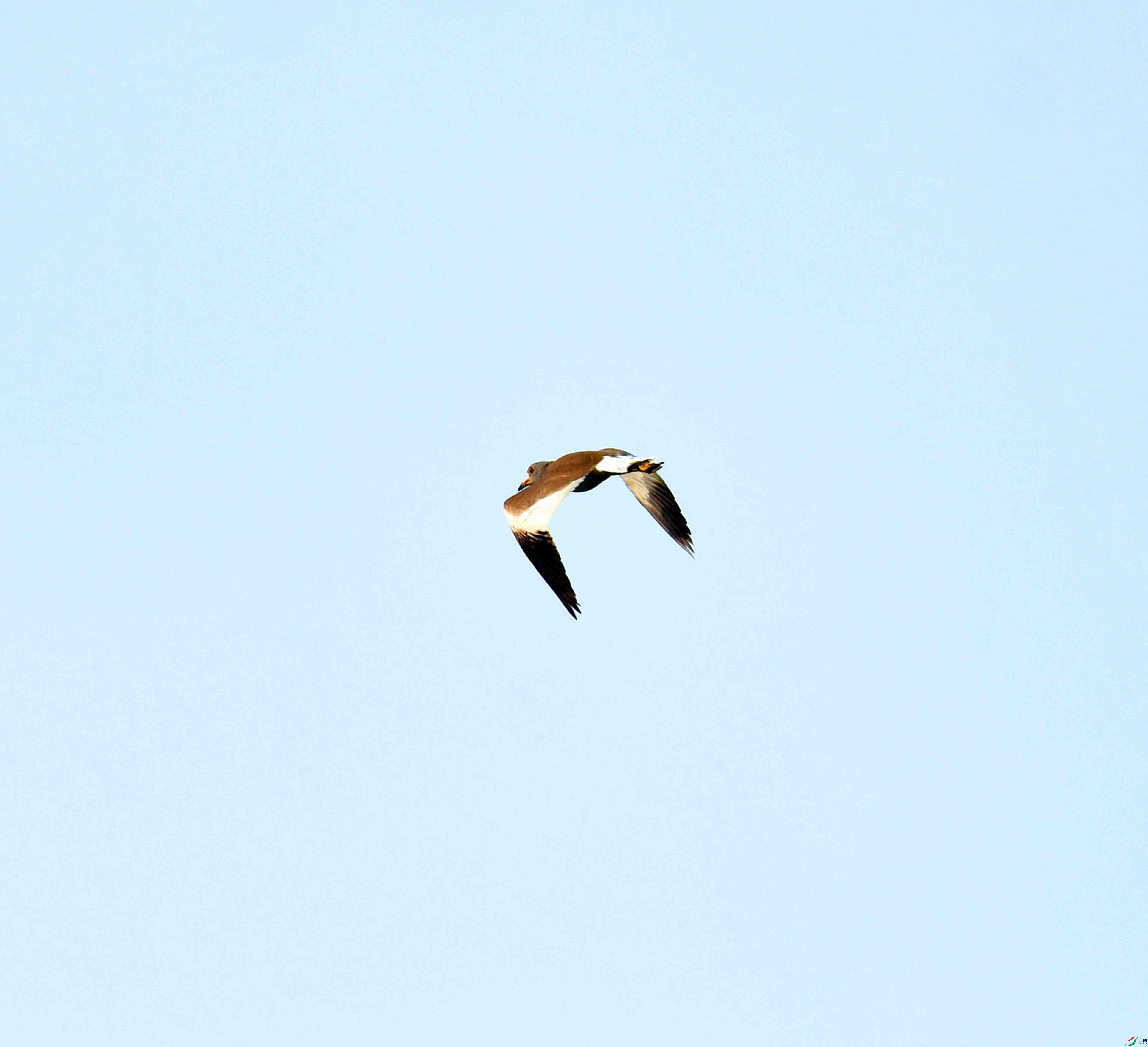 DSC_1364.JPG