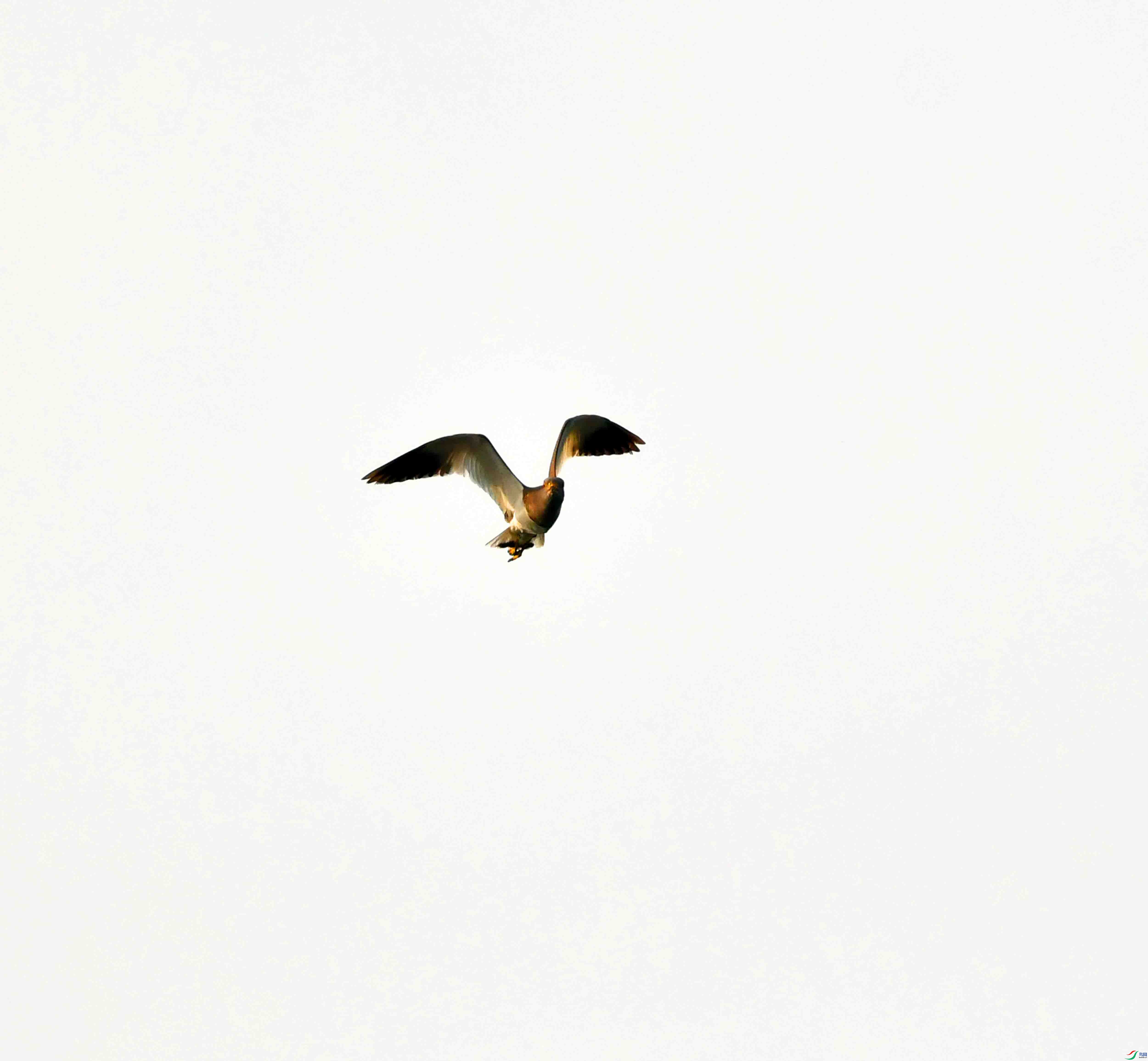 DSC_1373.JPG
