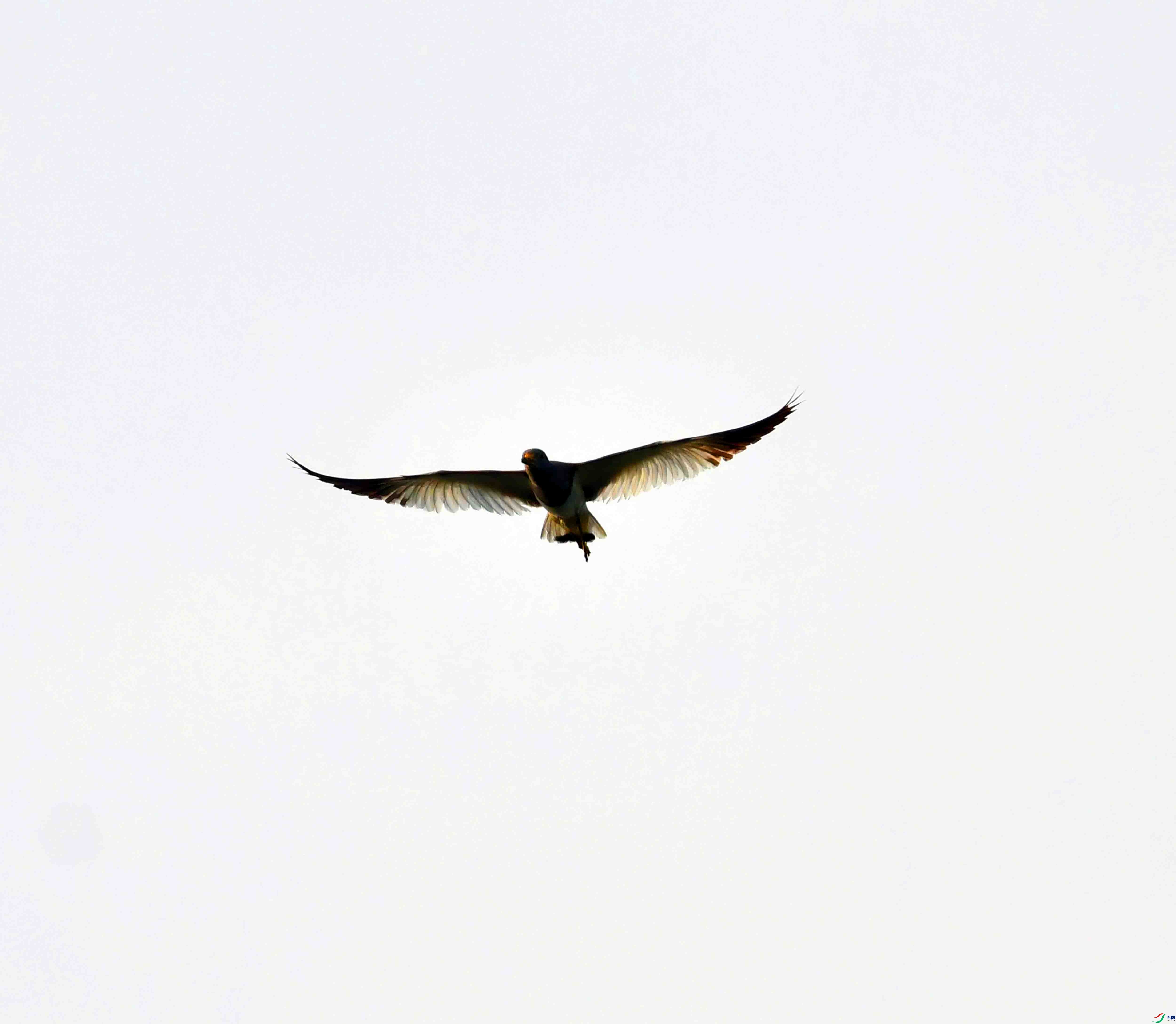 DSC_1376.JPG