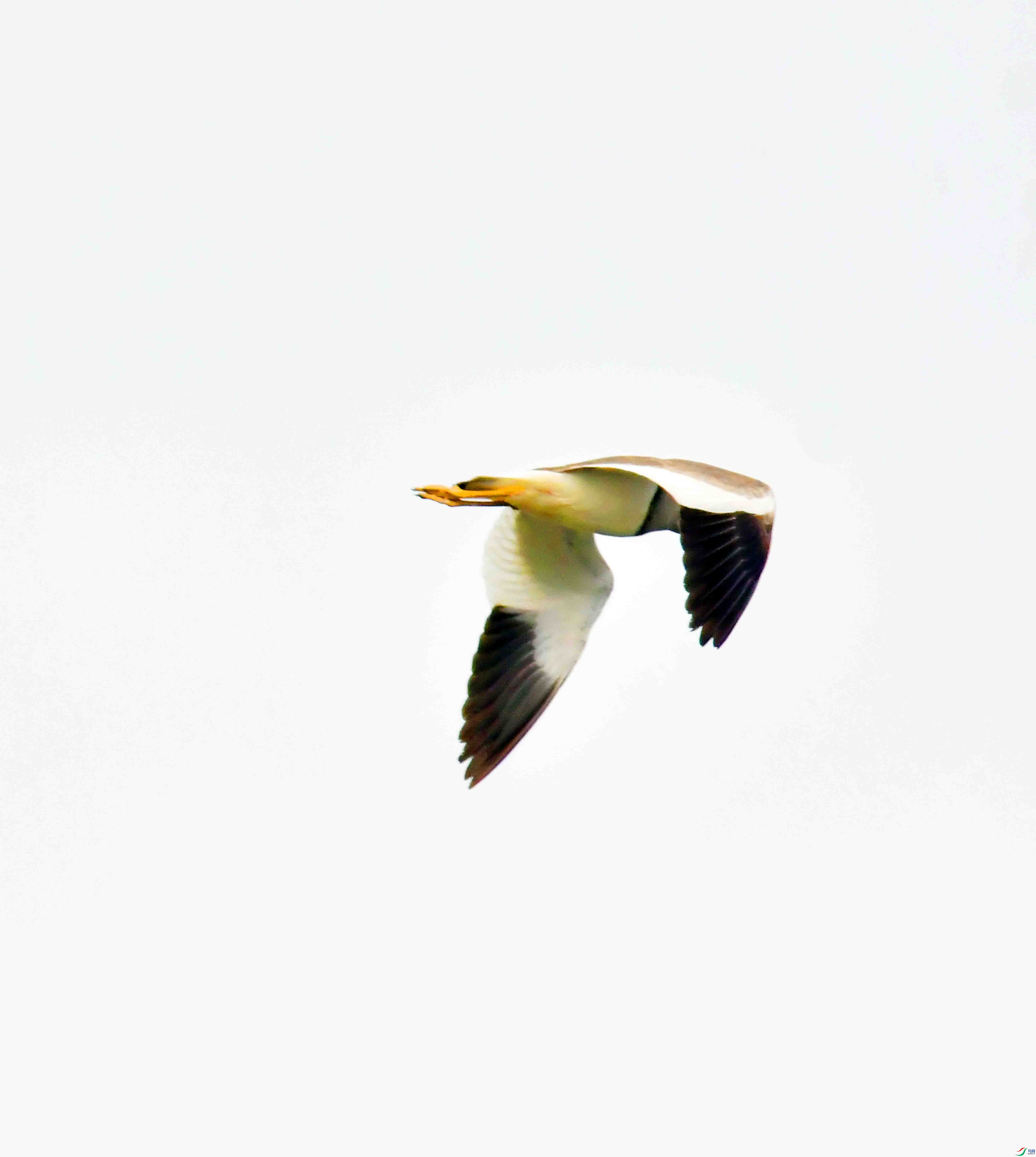 DSC_5587.JPG