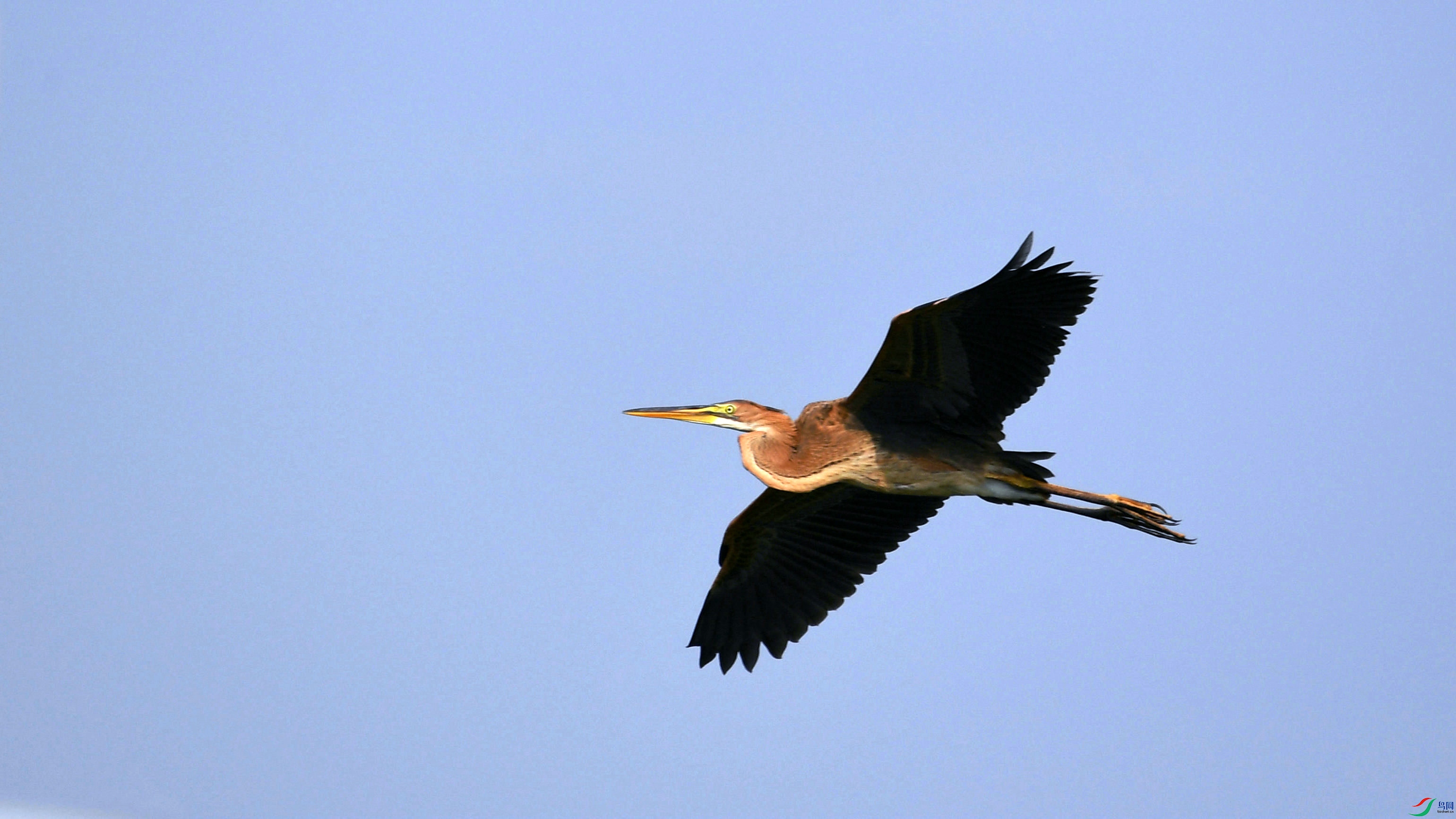 DSC_5495.JPG