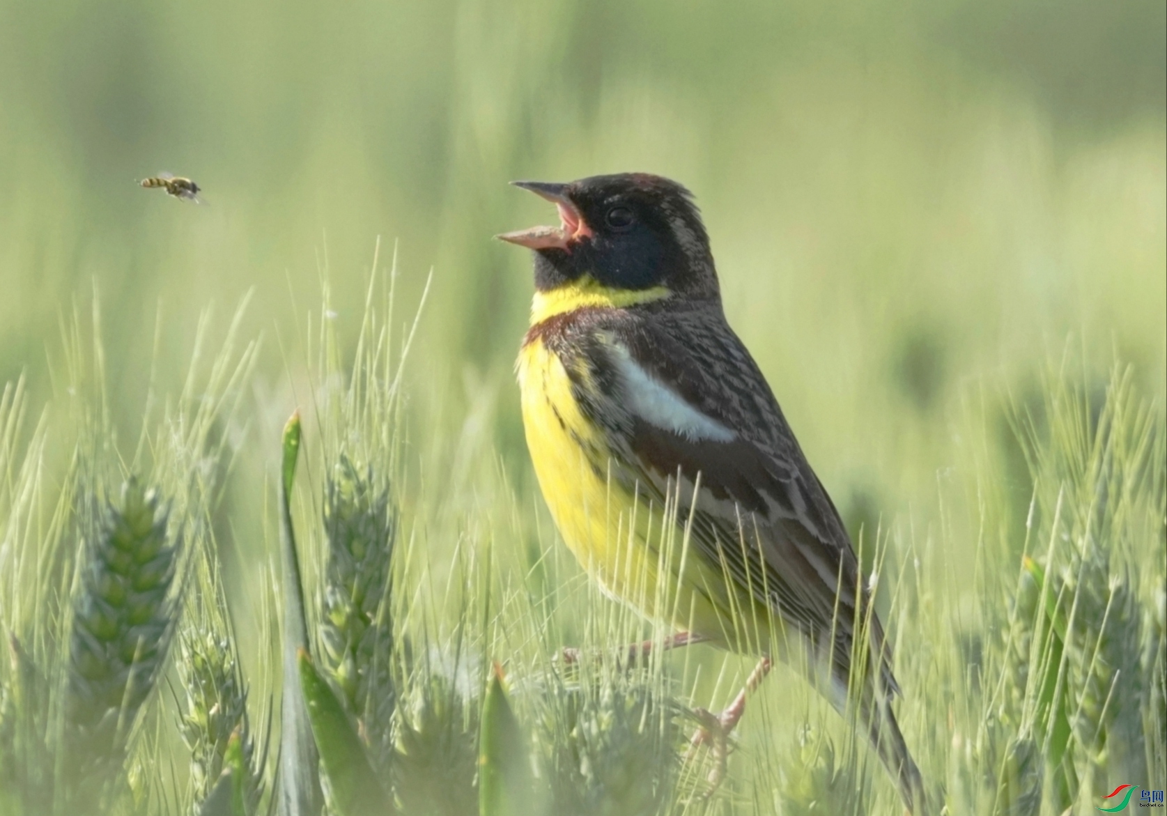 IMG_20250825_054827.jpg