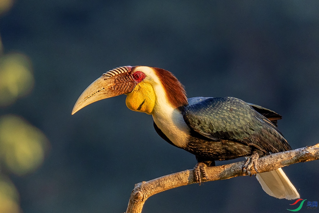 0F7A2166 ����.jpg