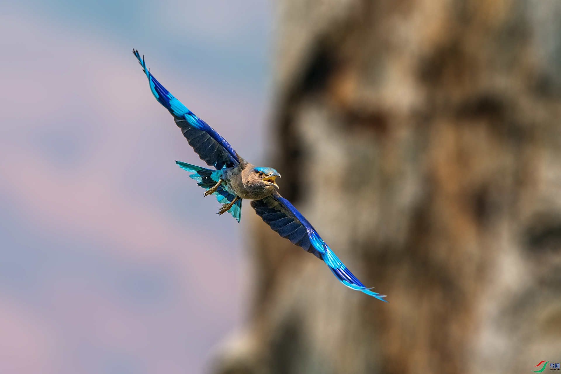 _AUU4341���ط�ɮ(24.5.13).jpg