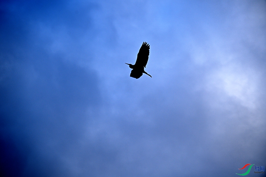 DSC_2474_����.jpg
