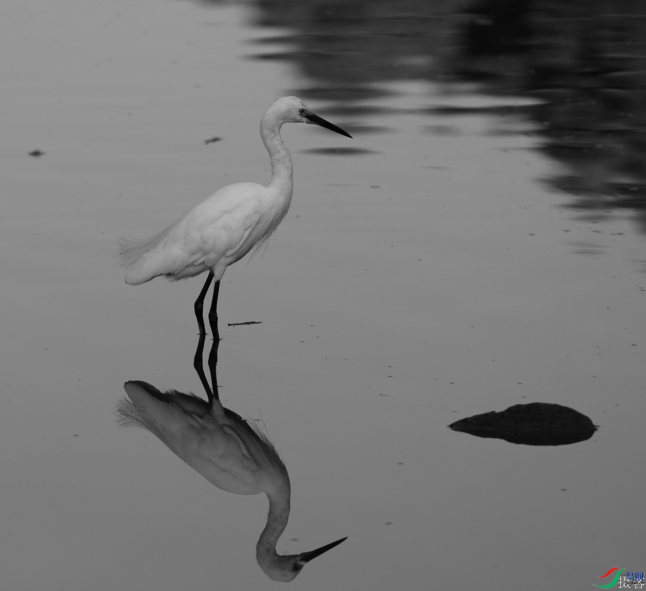 DSC09356-1.jpg