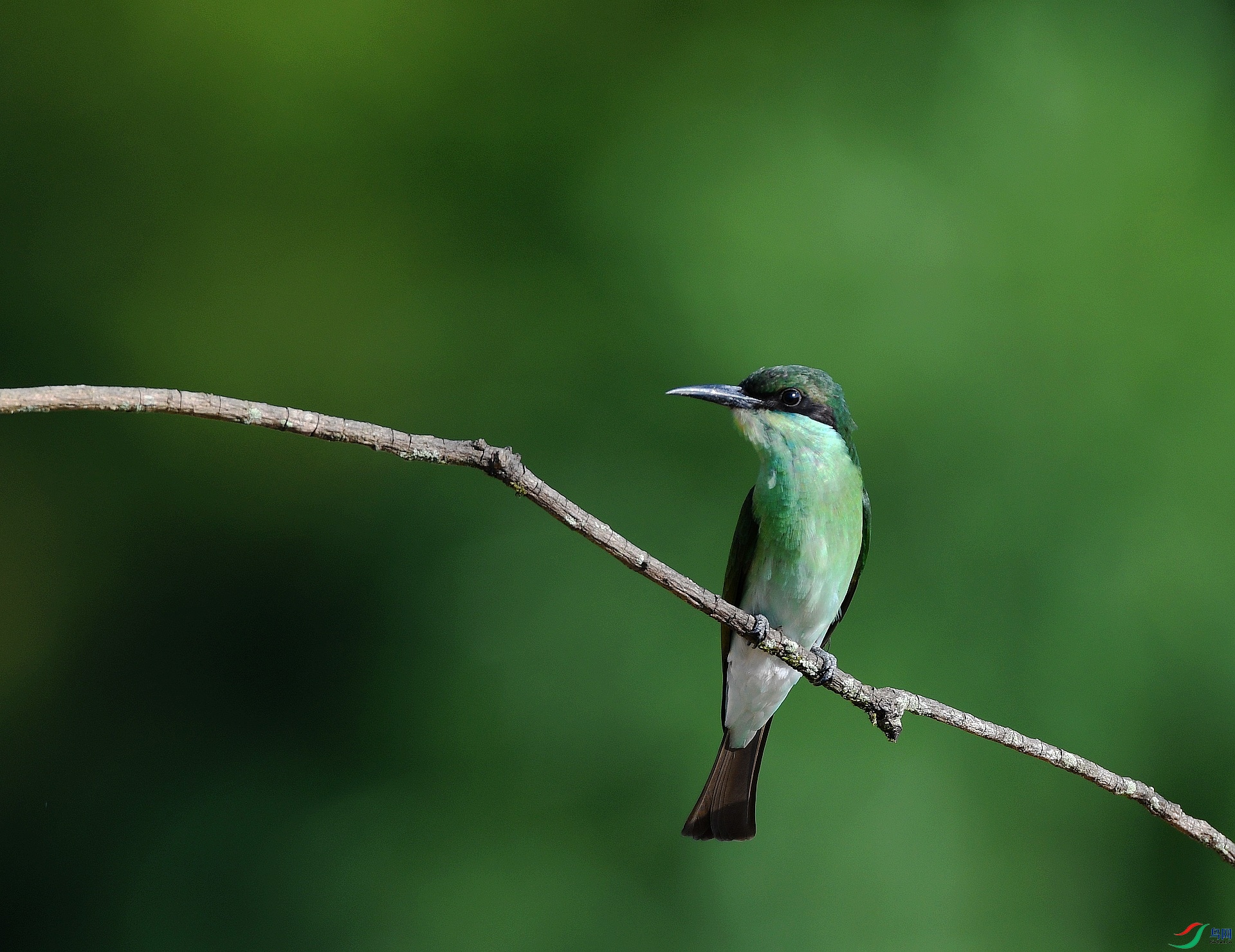 DSC_1315.jpg
