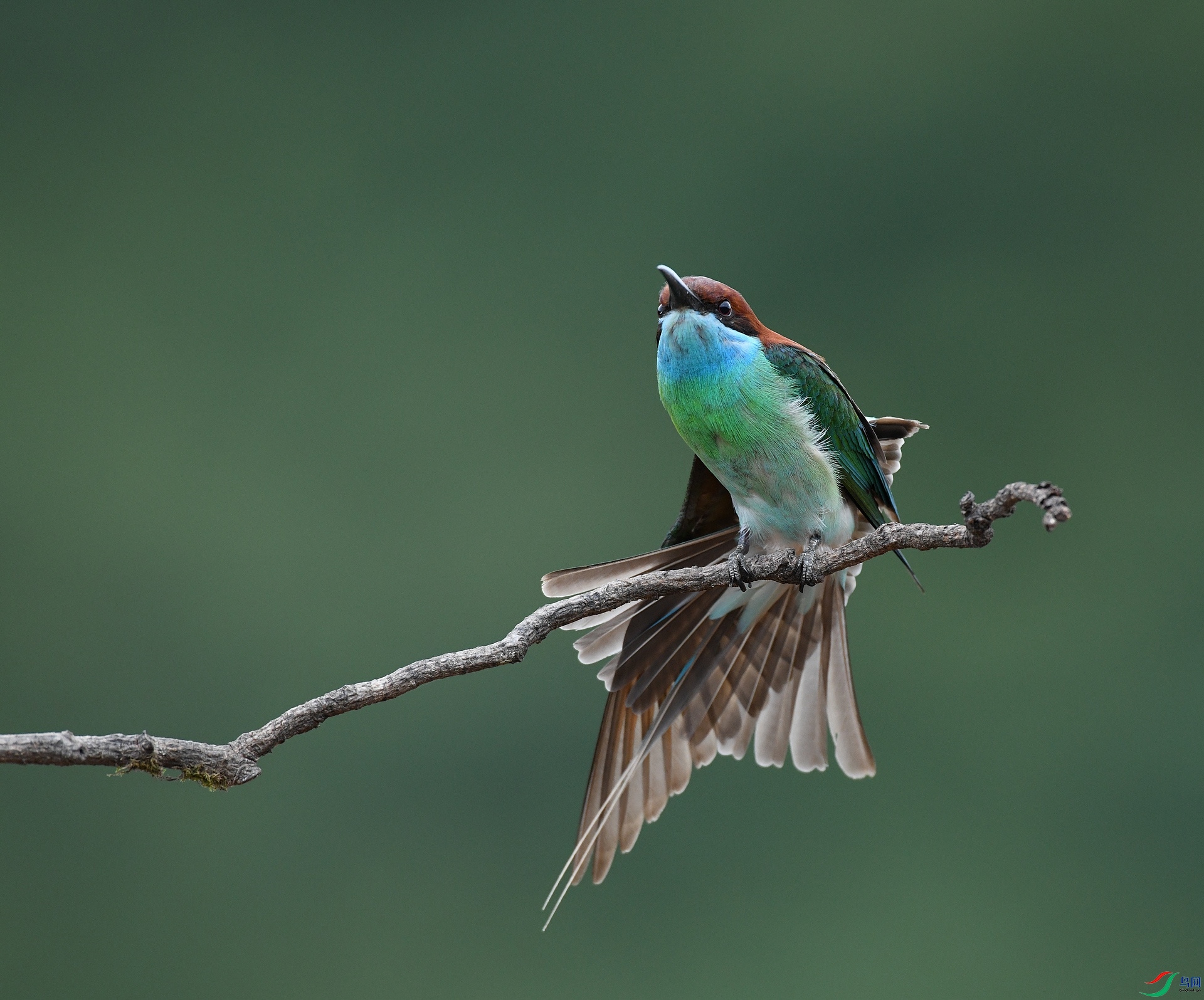 DSC_1441.jpg
