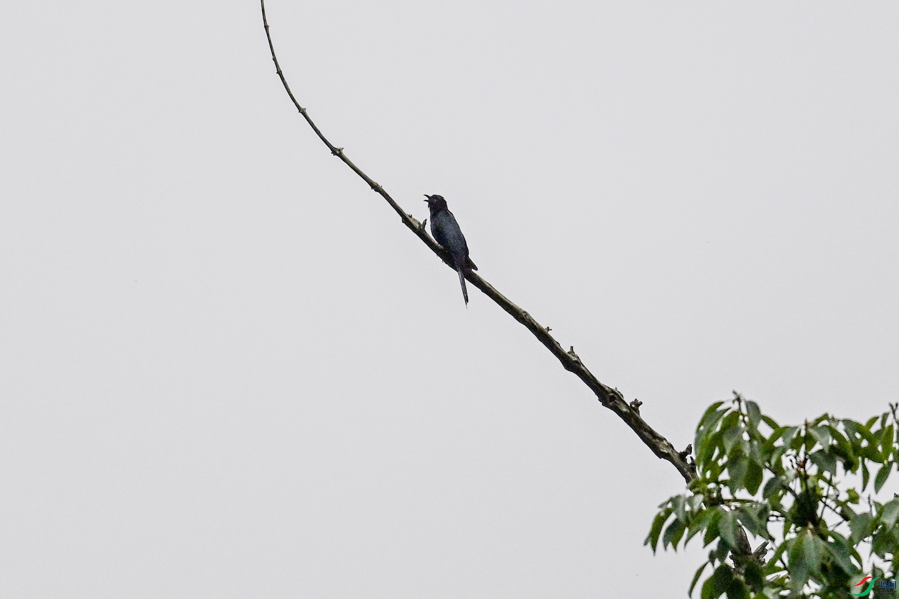 DSC_8340.JPG