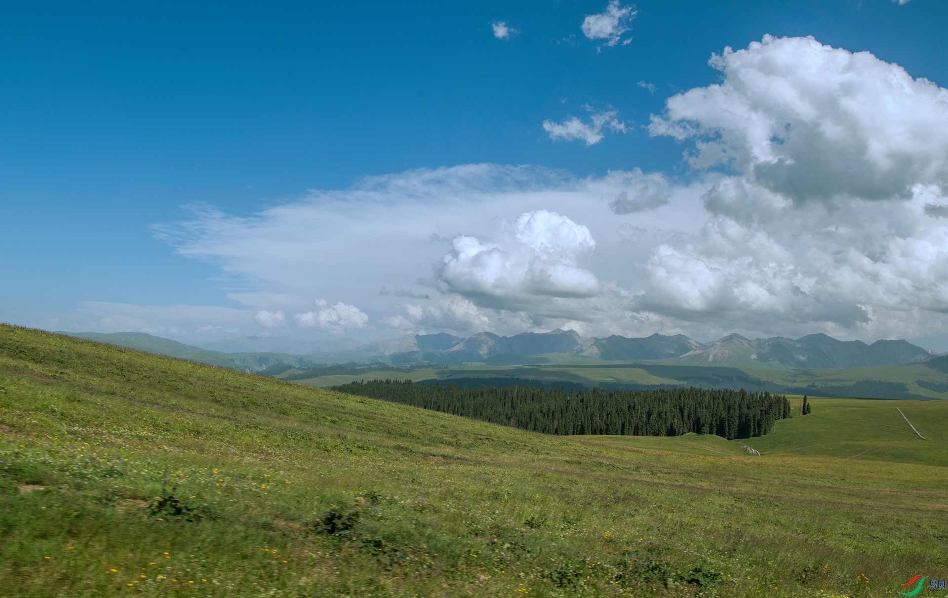 DSC_8272.jpg