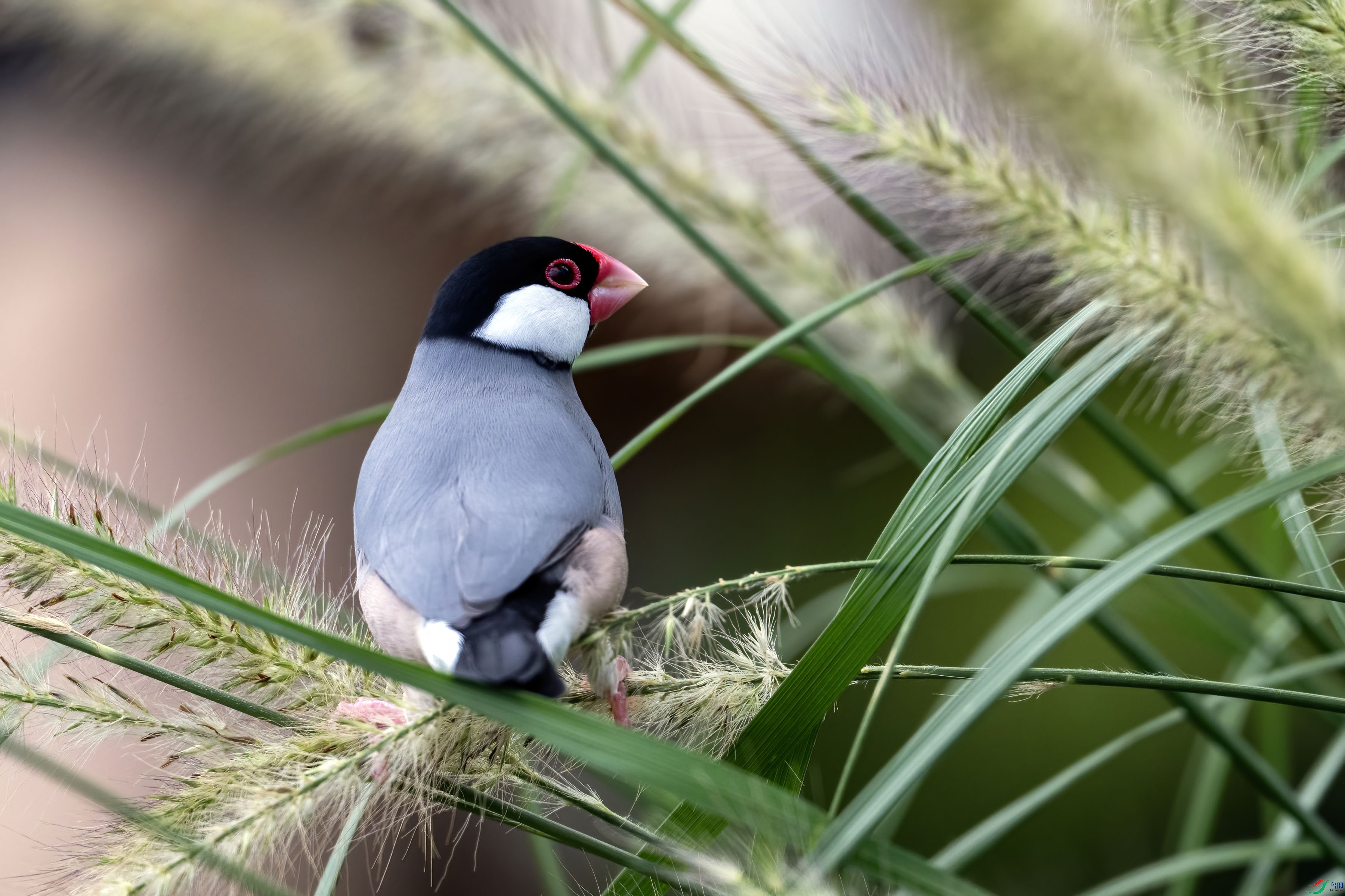 ��ȸ2 ����.jpg