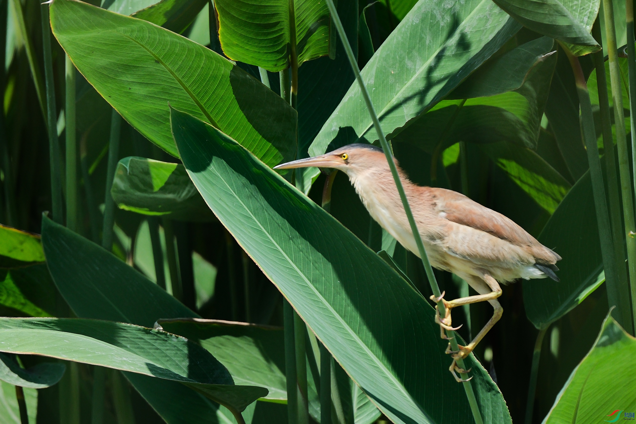 DSCF8164.jpg