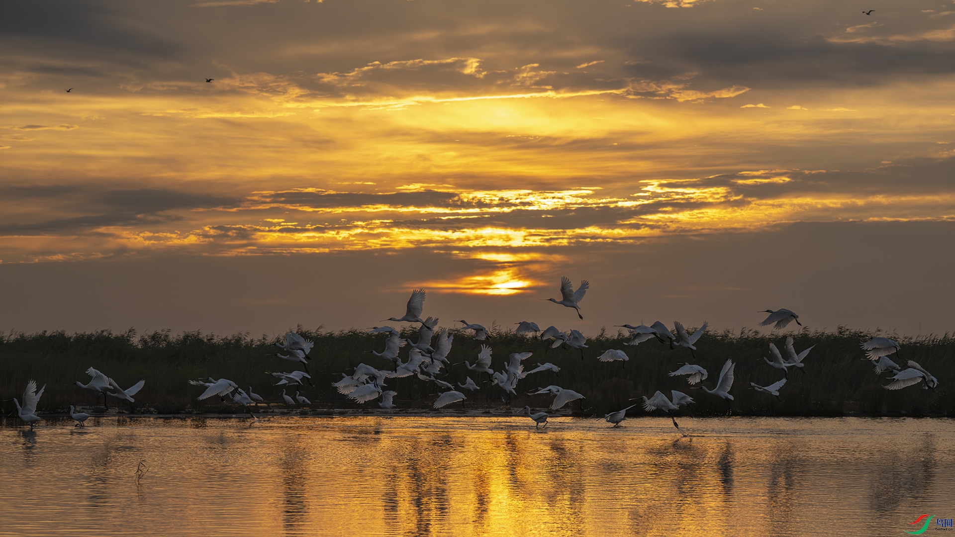 _DSC0193 ����.jpg