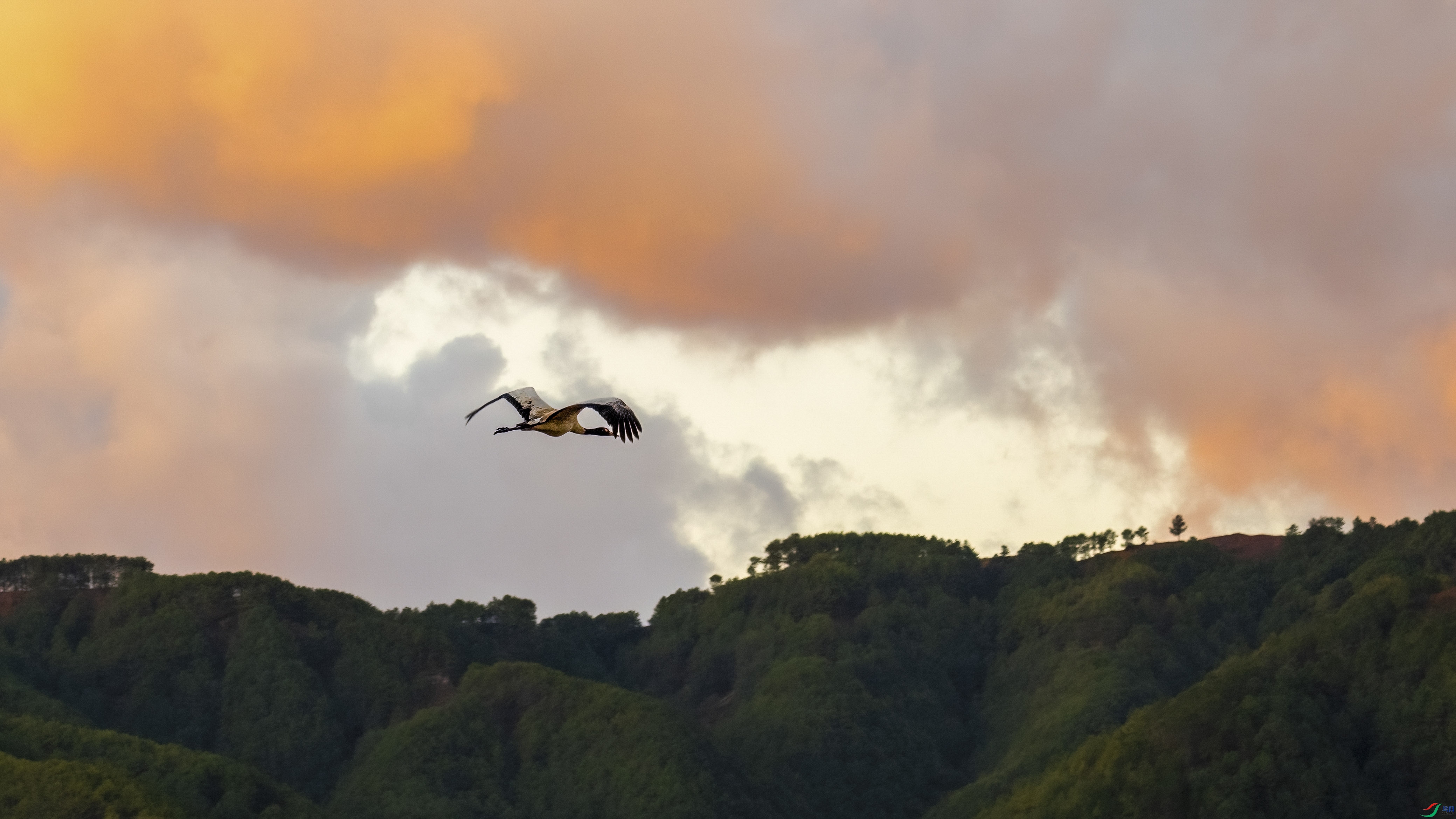 DSC_3951 ����_1.JPG