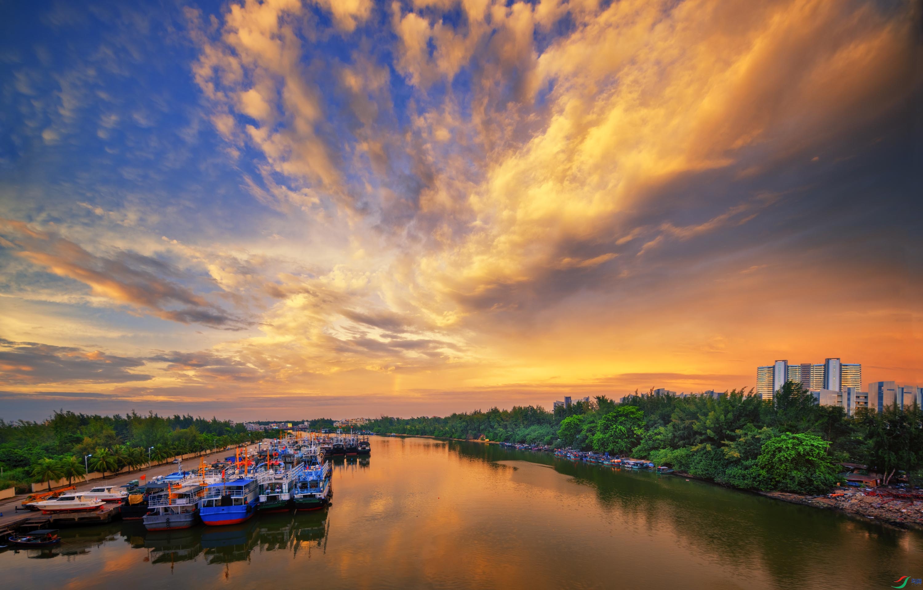 _DSF1384 ����.jpg