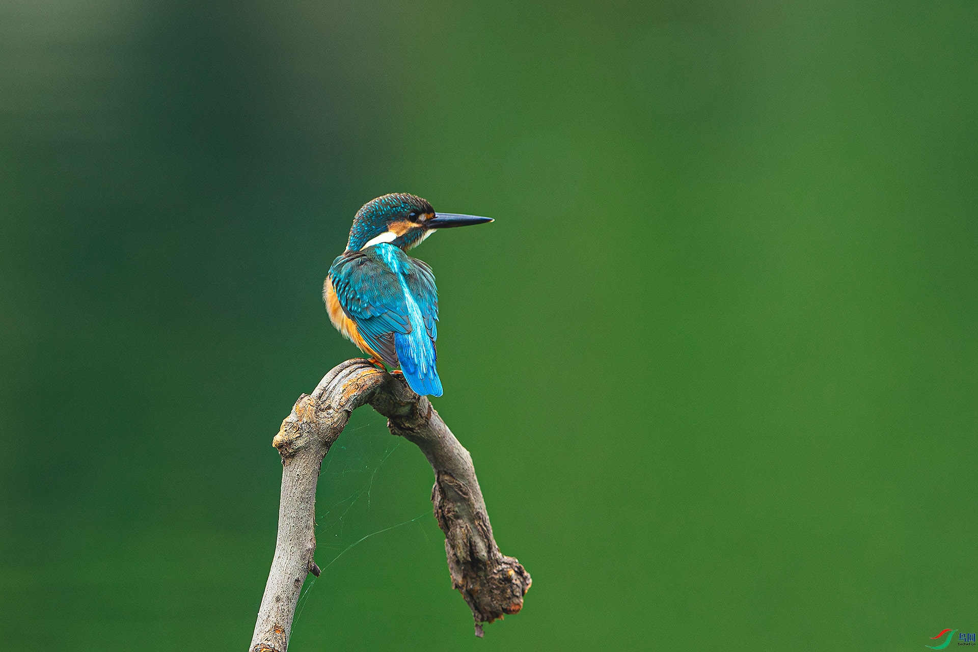 0825�ع�.jpg