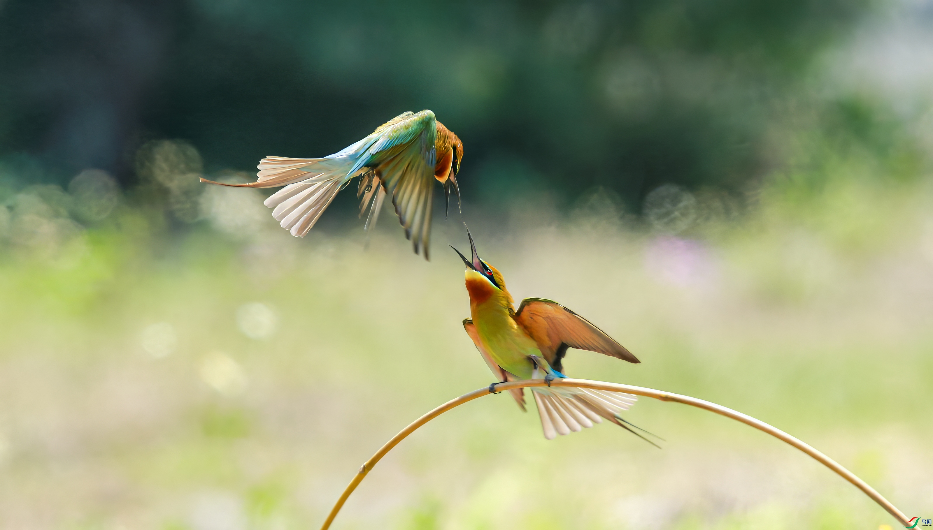 File2229_����.jpg