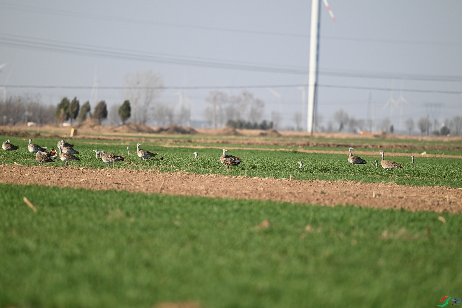 DSC_9862.JPG