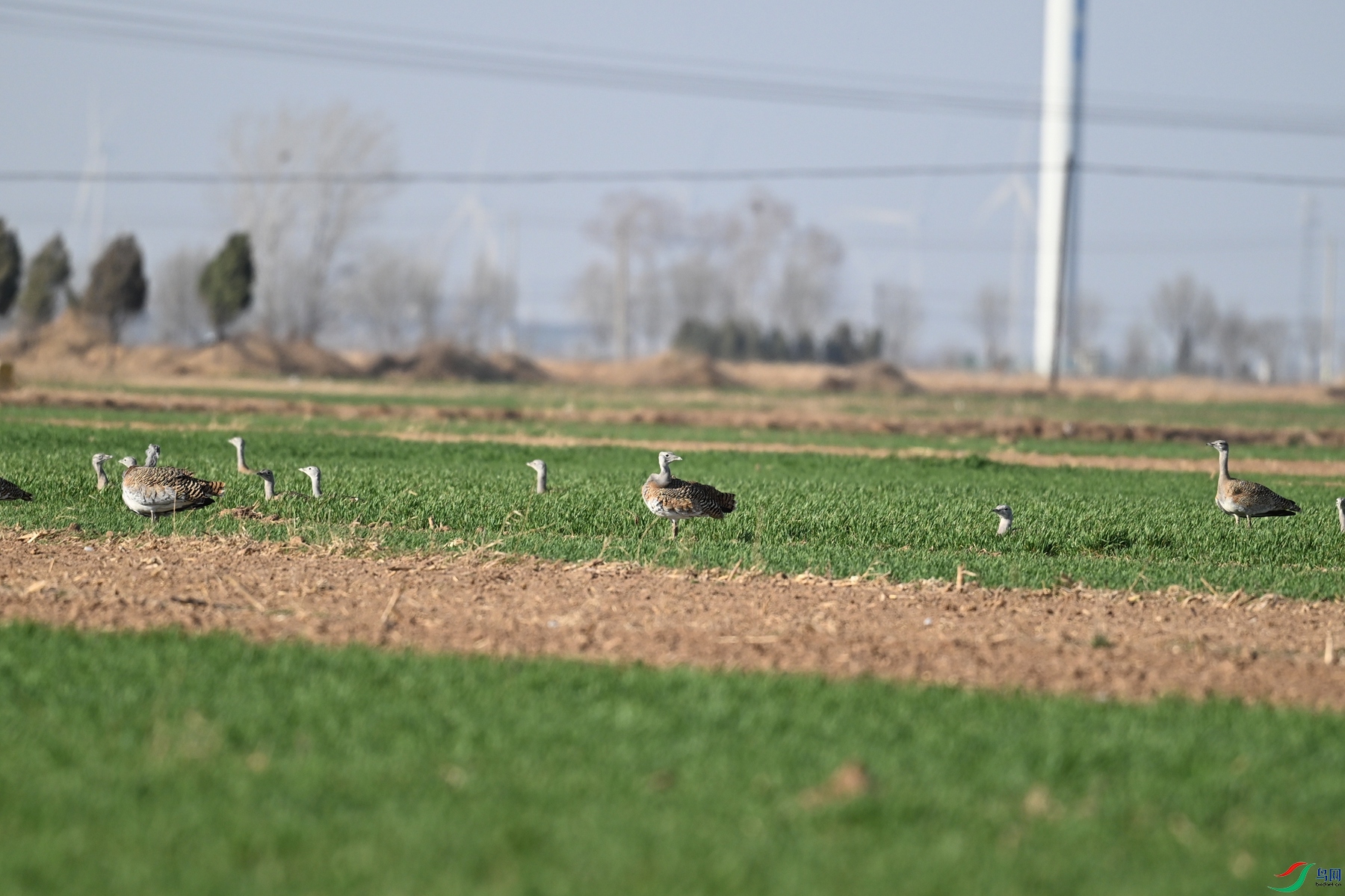 DSC_9873.JPG