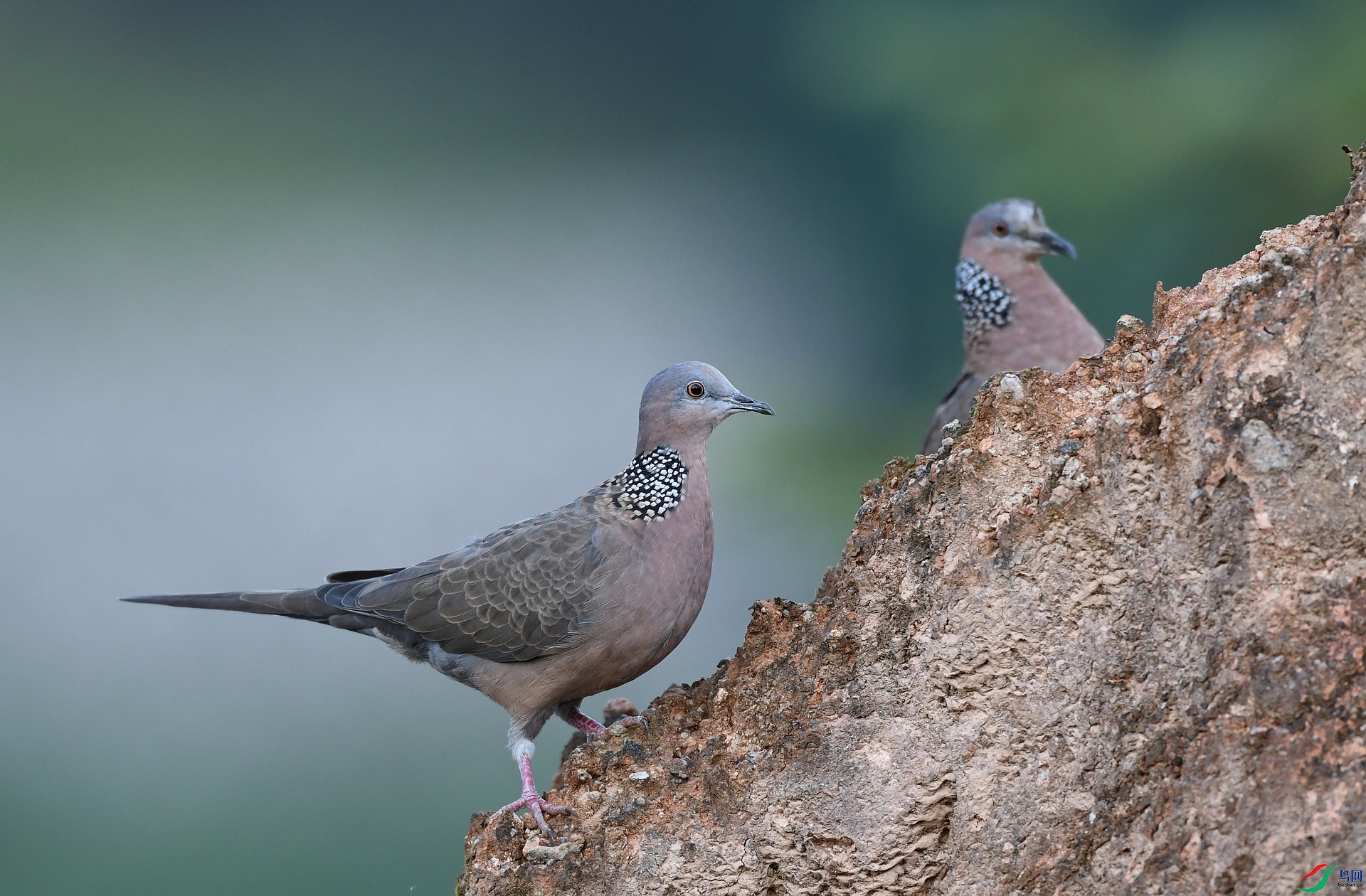 DSC_2013.jpg