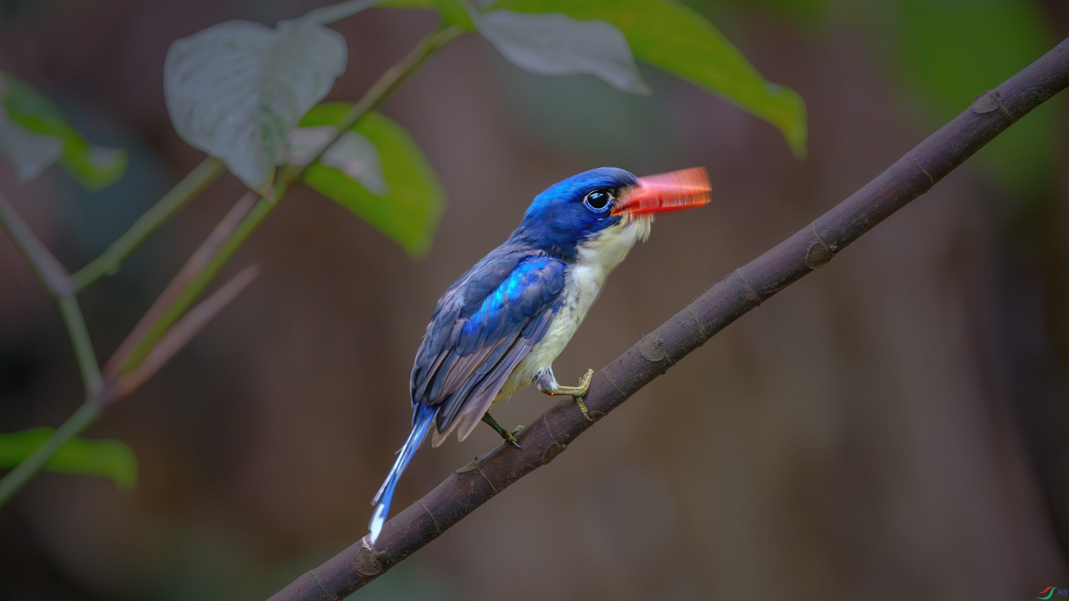 _DSC7307-����ǿ-NR ����1.jpg