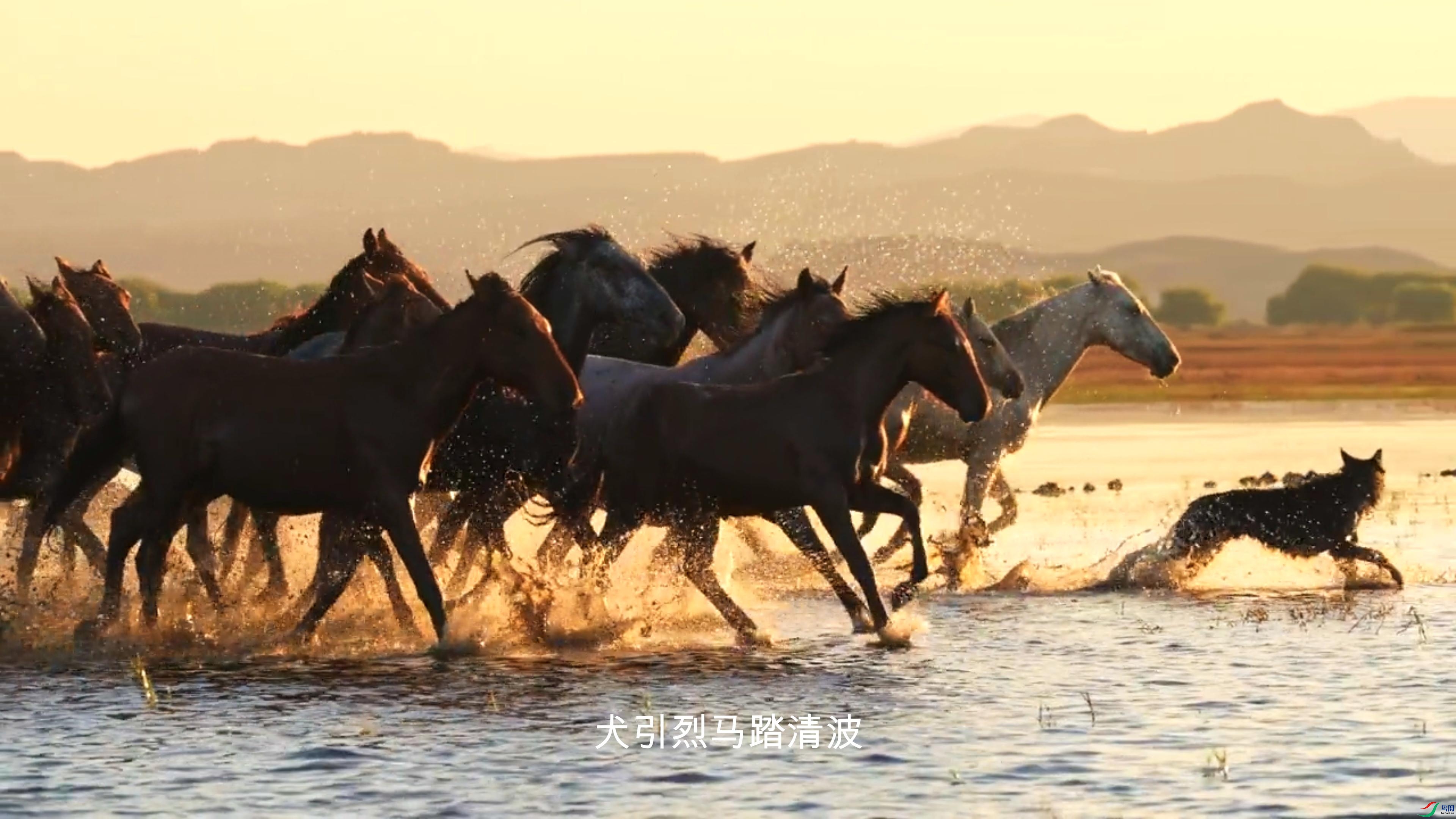 ���ڵ�����