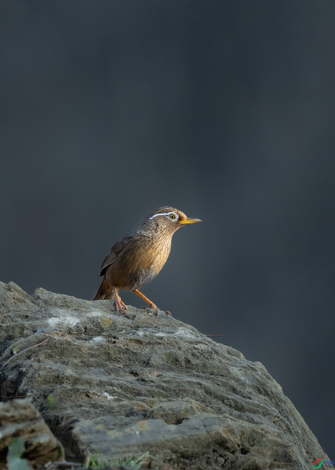 DSC_7079 ����.jpg